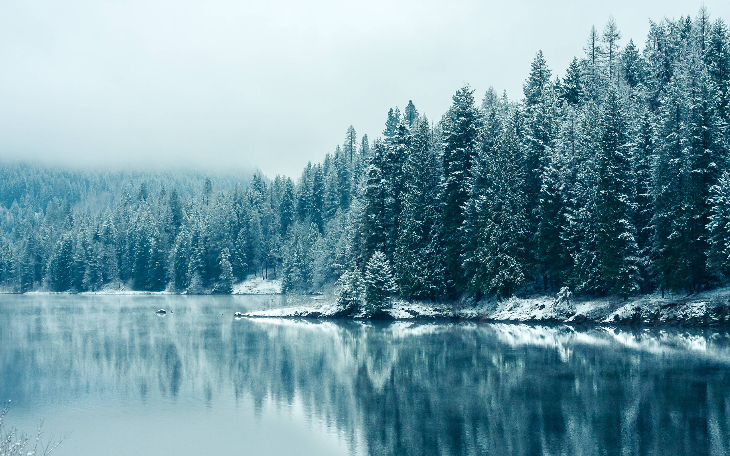 blue aesthetic, winter lake, snow-dusted evergreen trees, 2K Desktop Wallpaper