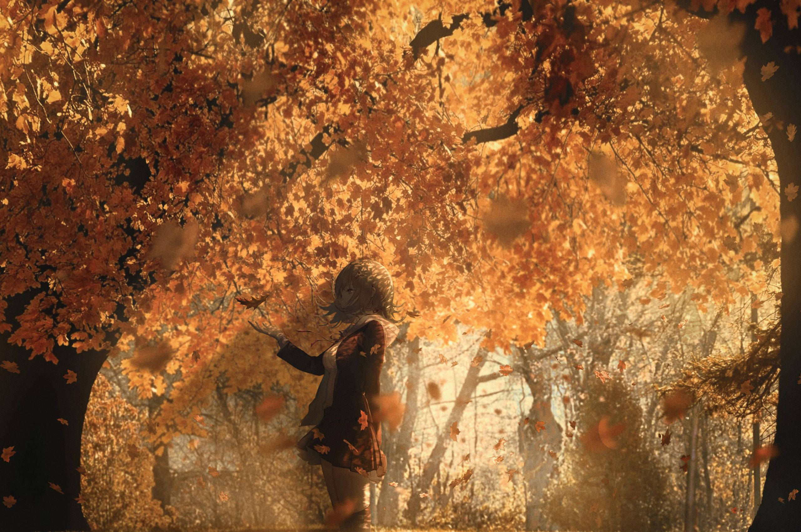Chromebook, anime, autumn, 2K Desktop Wallpaper