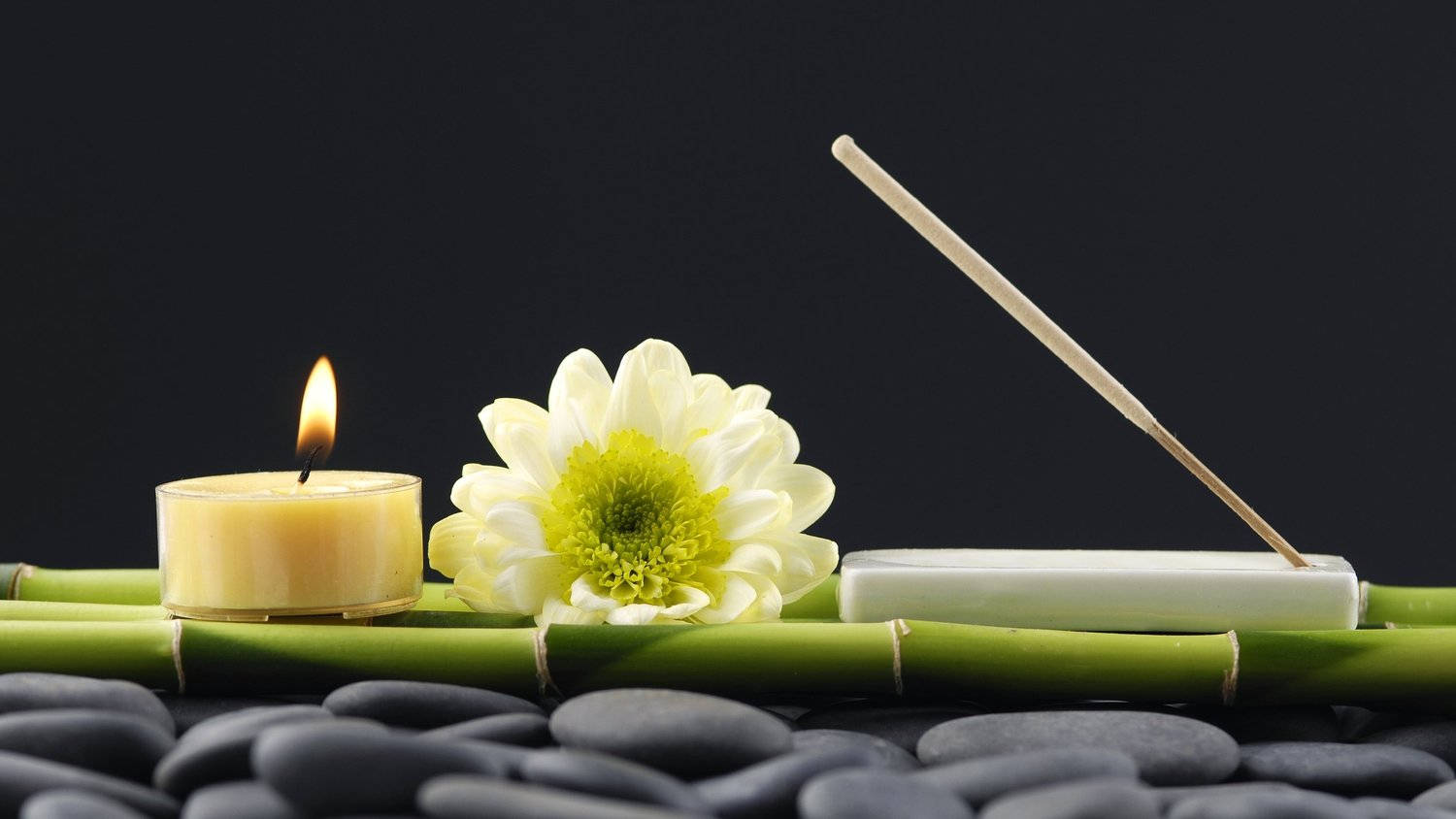 Bamboo 4K, Chrysanthemum, candle, HD Desktop Wallpaper
