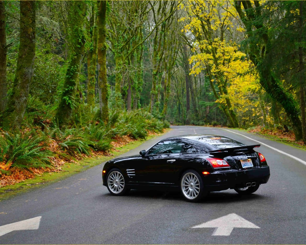 Chrysler Crossfire, black, winding forest road, HD Desktop Wallpaper
