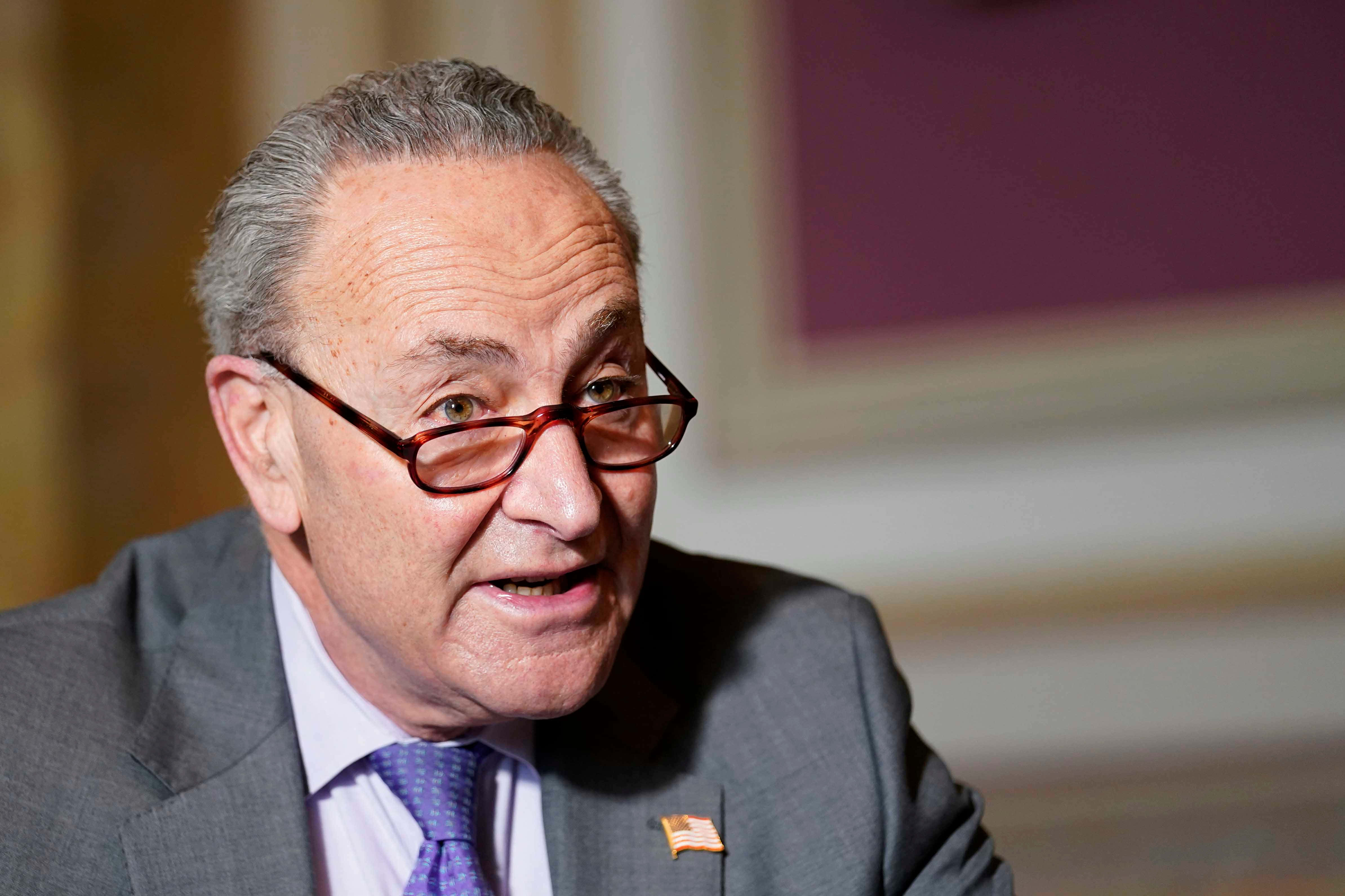 Chuck Schumer, gray-haired, glasses, 4K Desktop Wallpaper