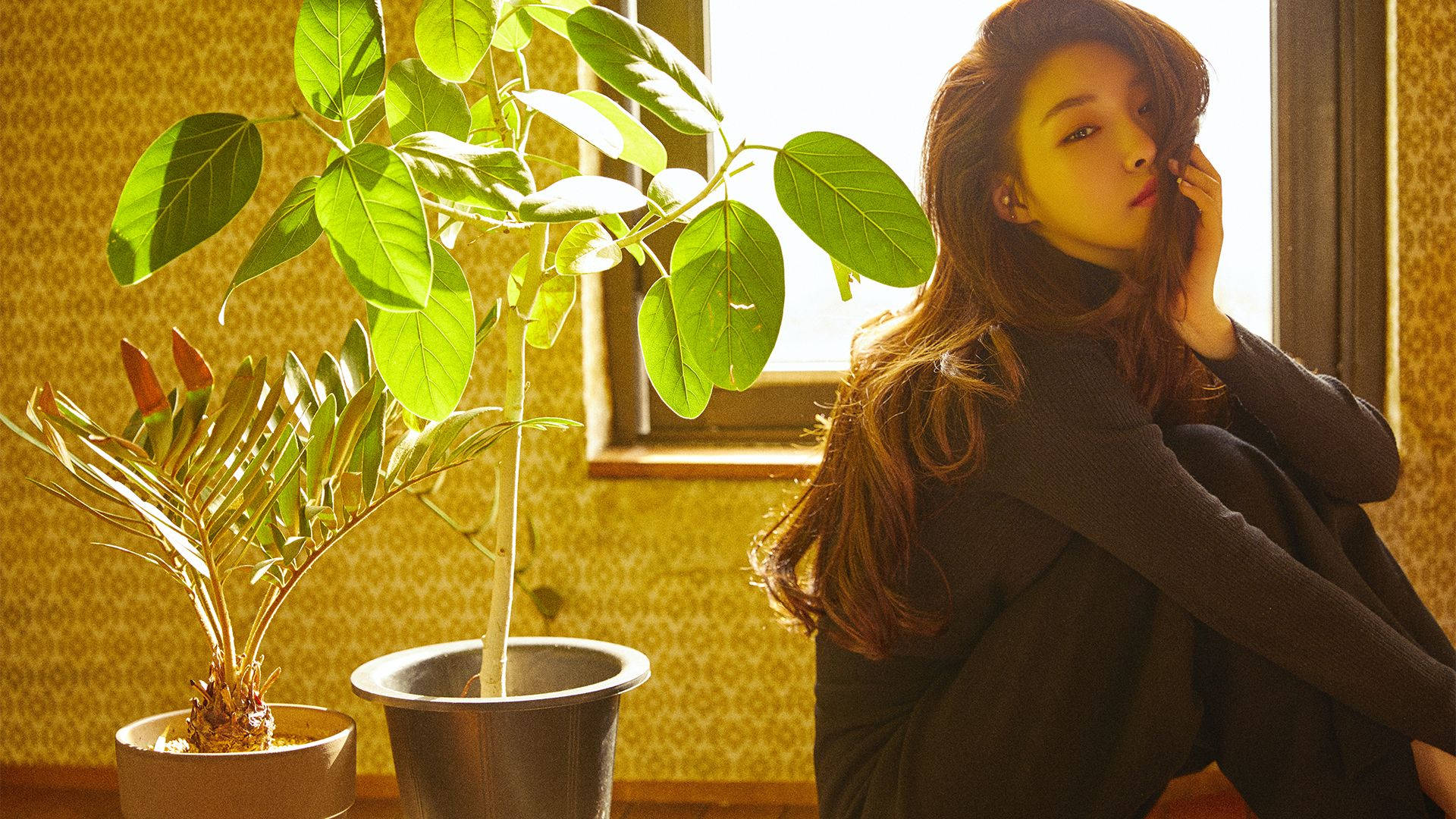 Chungha, golden sunlight, textured yellow wall, Full HD Desktop Wallpaper