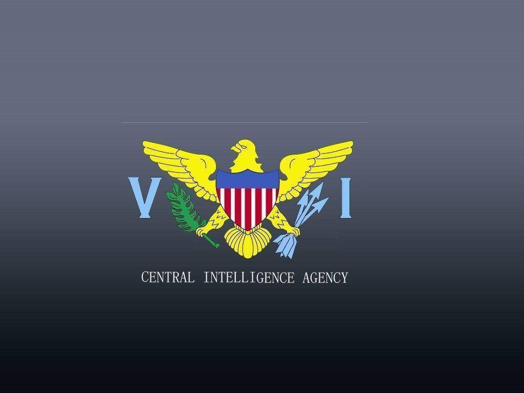 CIA, golden eagle, olive branch, SD Desktop Wallpaper