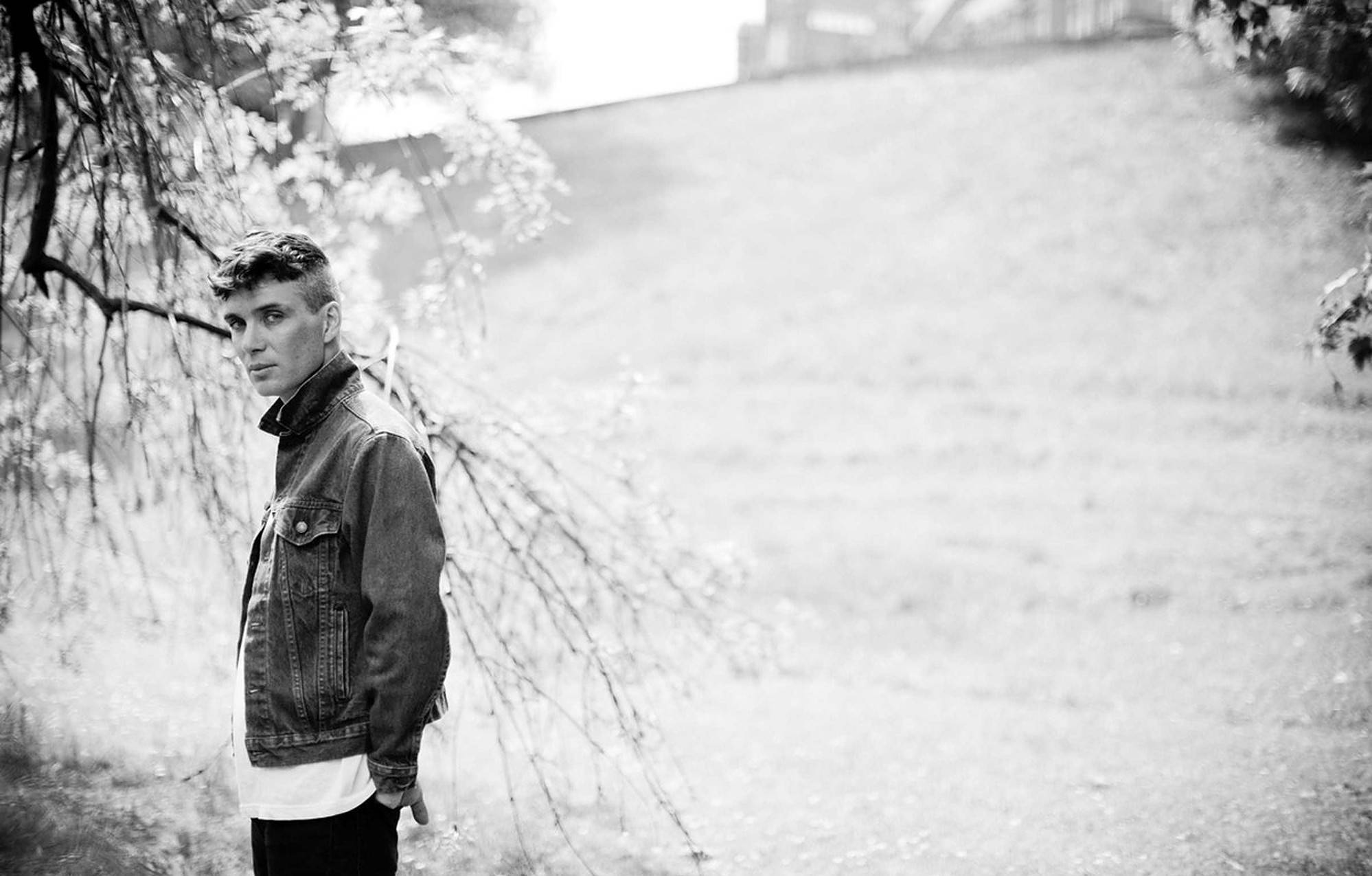 Cillian Murphy, denim jacket, leafy branches, Full HD Desktop Wallpaper
