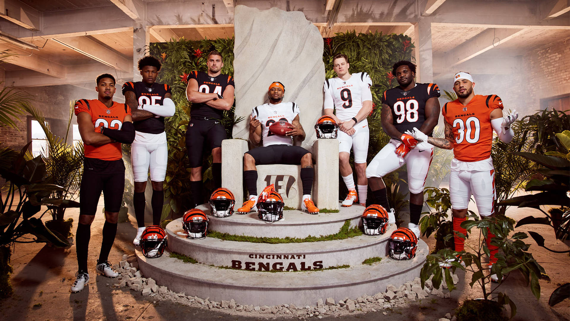 Cincinnati Bengals, team roster, stone throne, Full HD Desktop Wallpaper