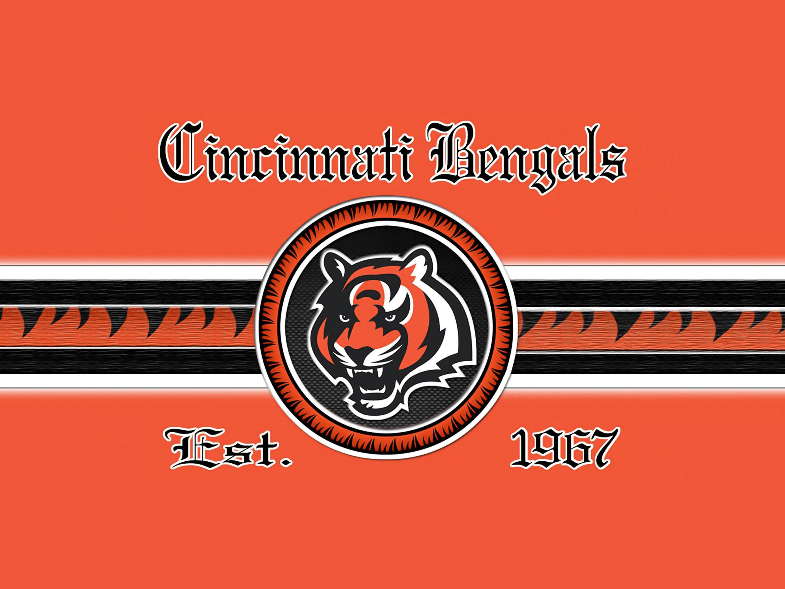 Cincinnati Bengals, 1967, orange background, 2K Desktop Wallpaper