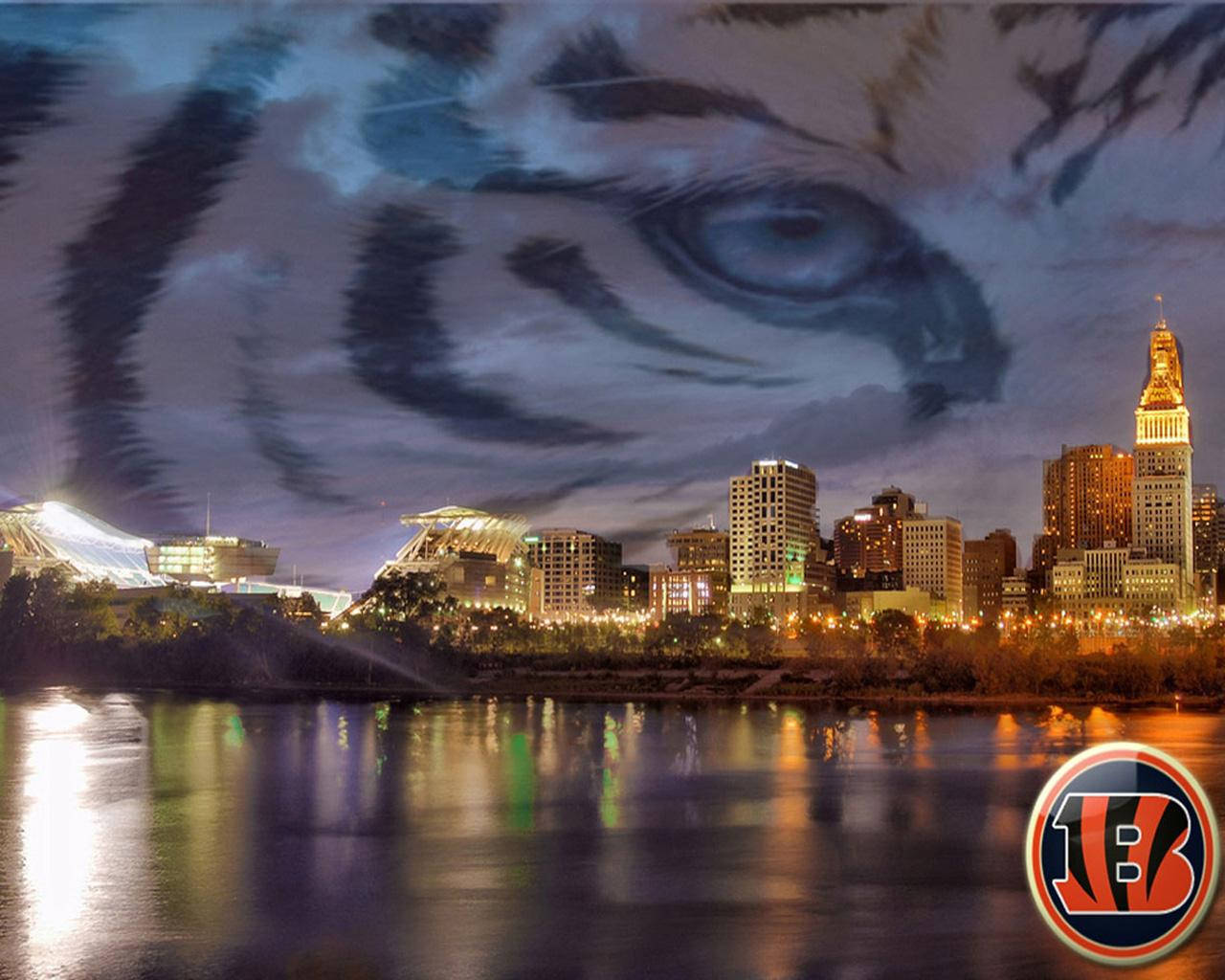 Cincinnati Bengals, skyline, night, HD Desktop Wallpaper