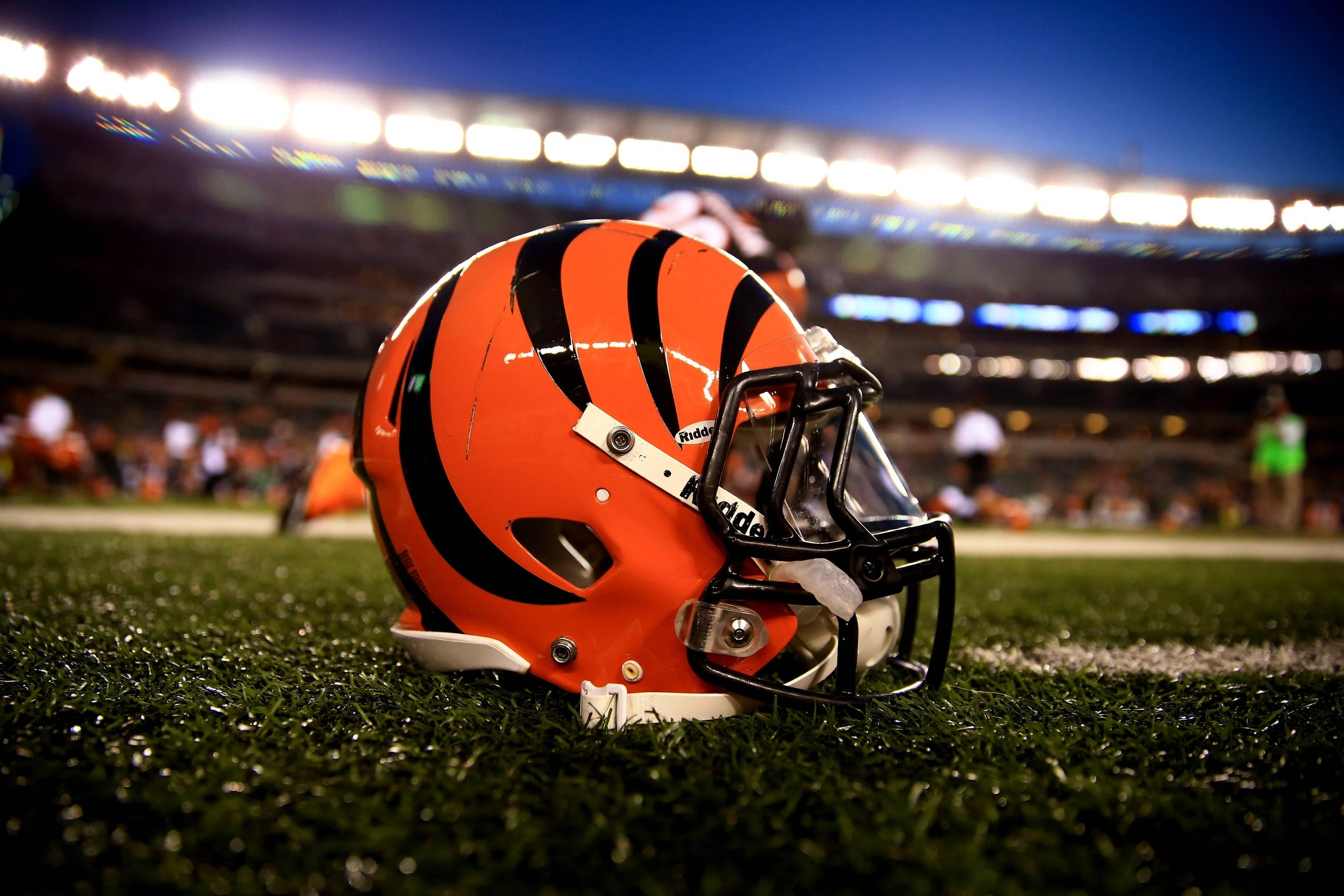 Cincinnati Bengals, football helmet, green turf, 2K Desktop Wallpaper