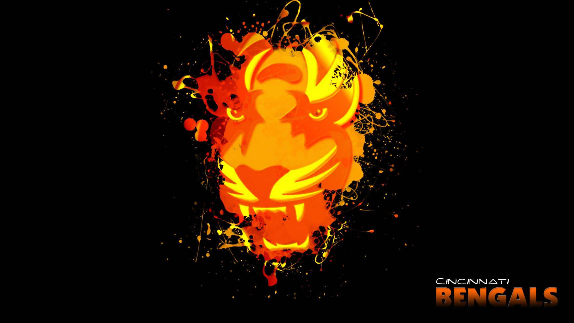 Cincinnati Bengals, orange tiger, black background, Full HD Desktop Wallpaper