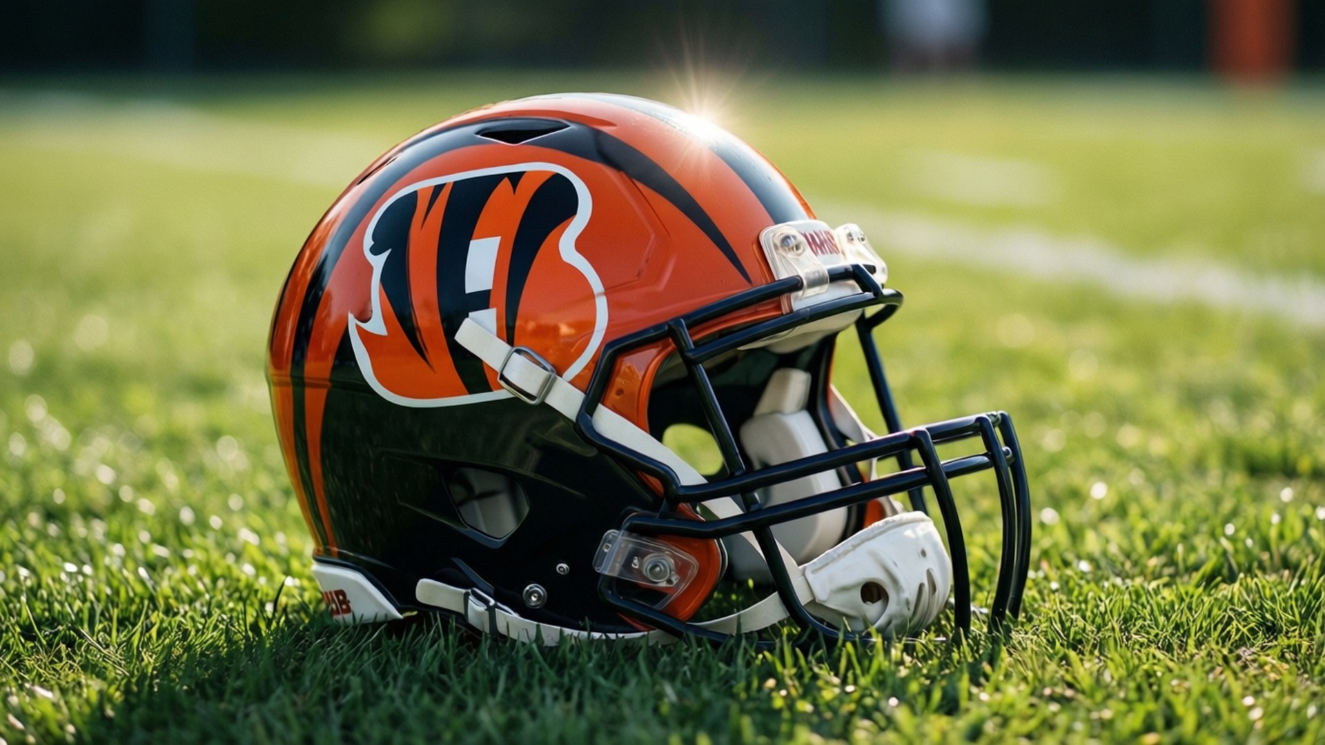 Cincinnati Bengals, Bengals helmet, green grass, Full HD Desktop Wallpaper