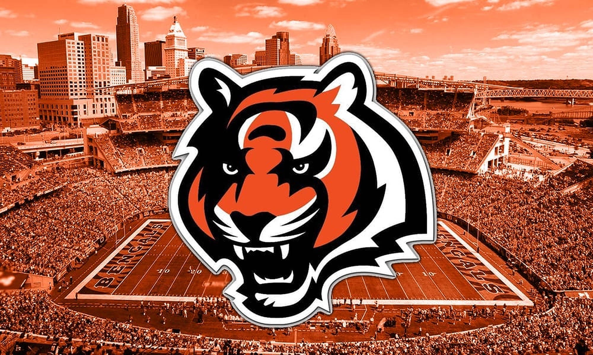 Cincinnati Bengals, tiger logo, stadium, Full HD Desktop Wallpaper