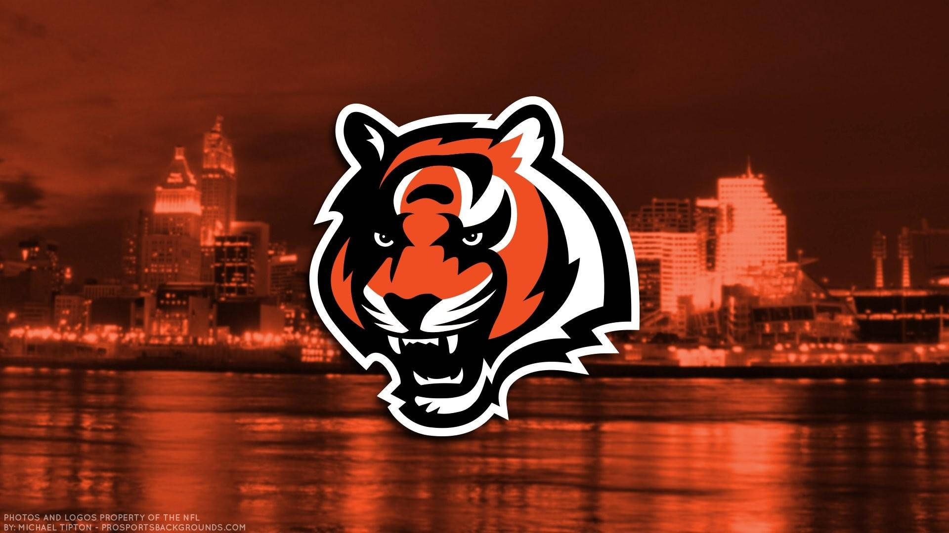 Cincinnati Bengals, tiger logo, orange, Full HD Desktop Wallpaper