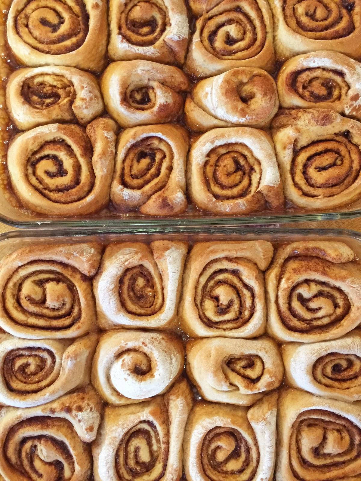 cinnamon rolls, glass baking dish, golden brown swirls, HD Phone Wallpaper