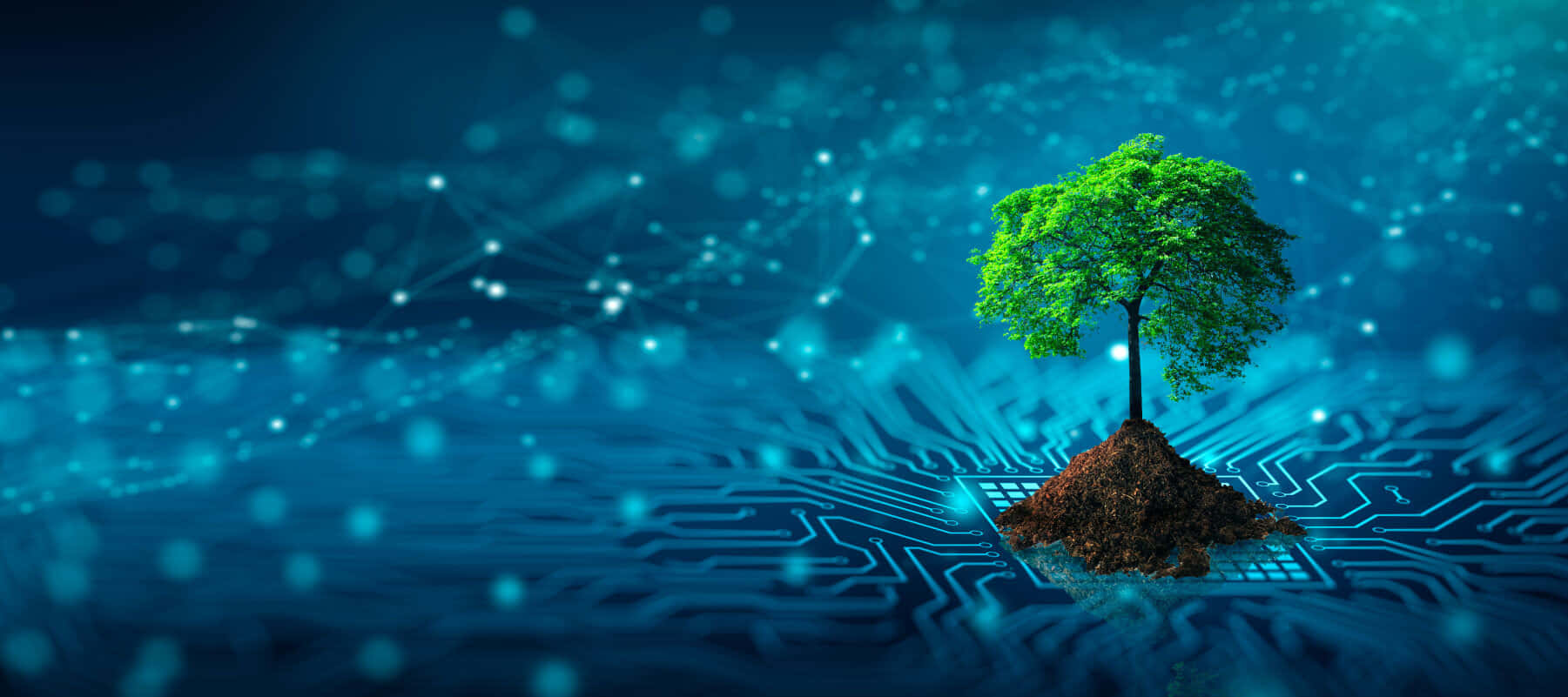 Circuit Sustainability, glowing blue circuit board, vibrant green tree, HD Desktop Wallpaper