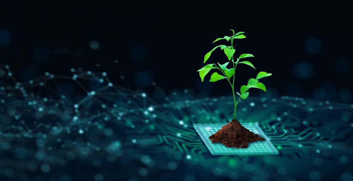 sustainability circuitboard, vibrant green sapling, glowing circuit board, SD Desktop Wallpaper