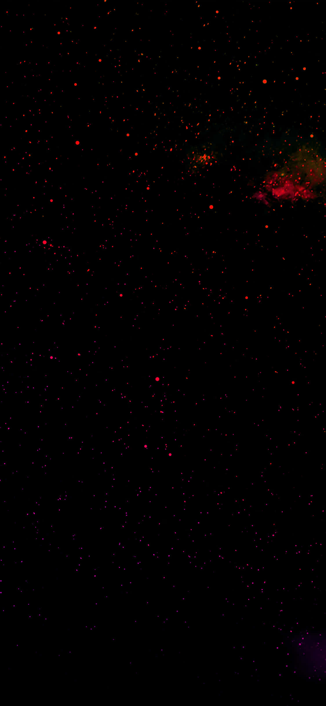 black stars, iPhone 1125 x 2436, red stars, Full HD Phone Wallpaper