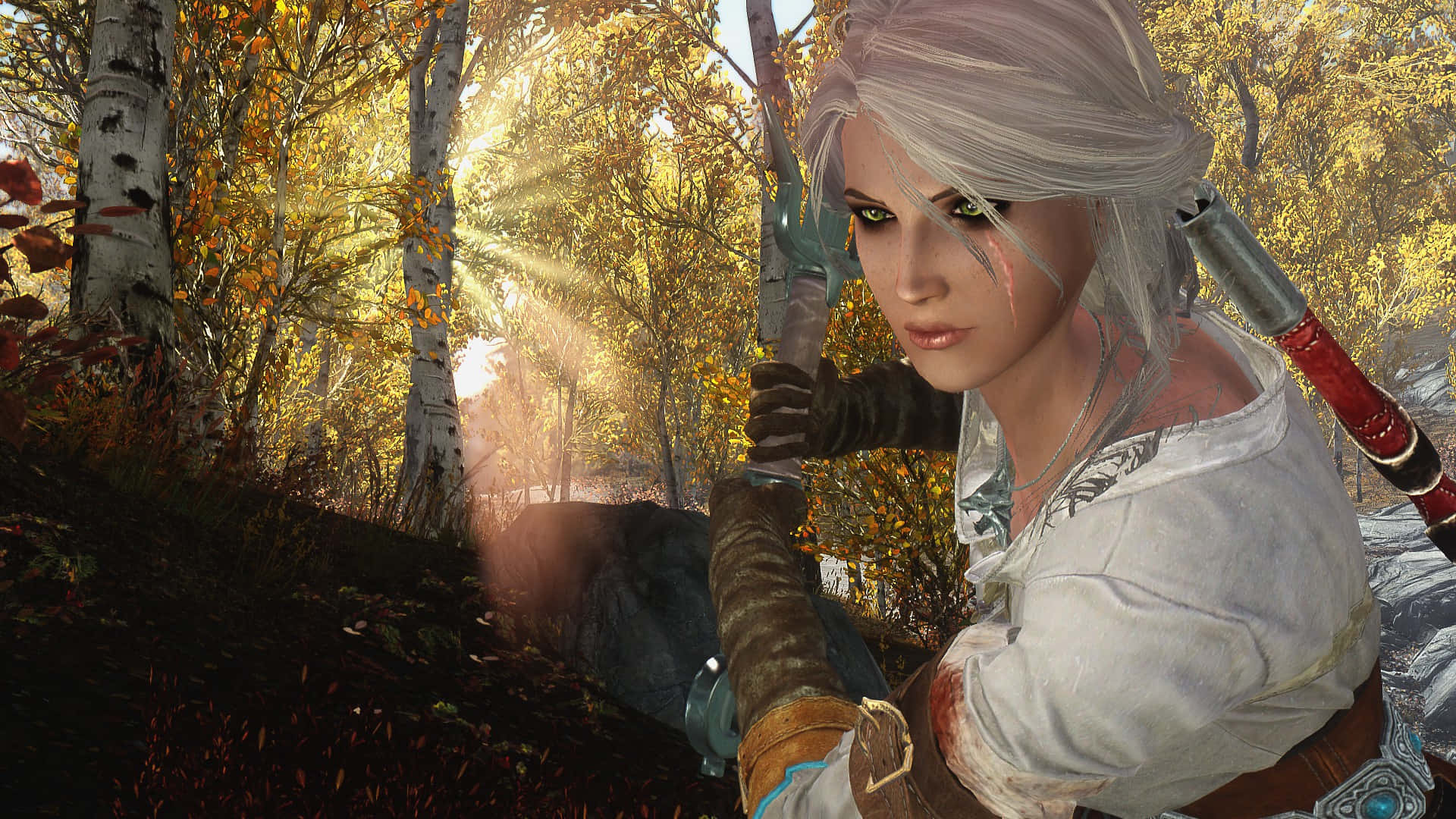 Ciri, archerin, autumn forest, Full HD Desktop Wallpaper