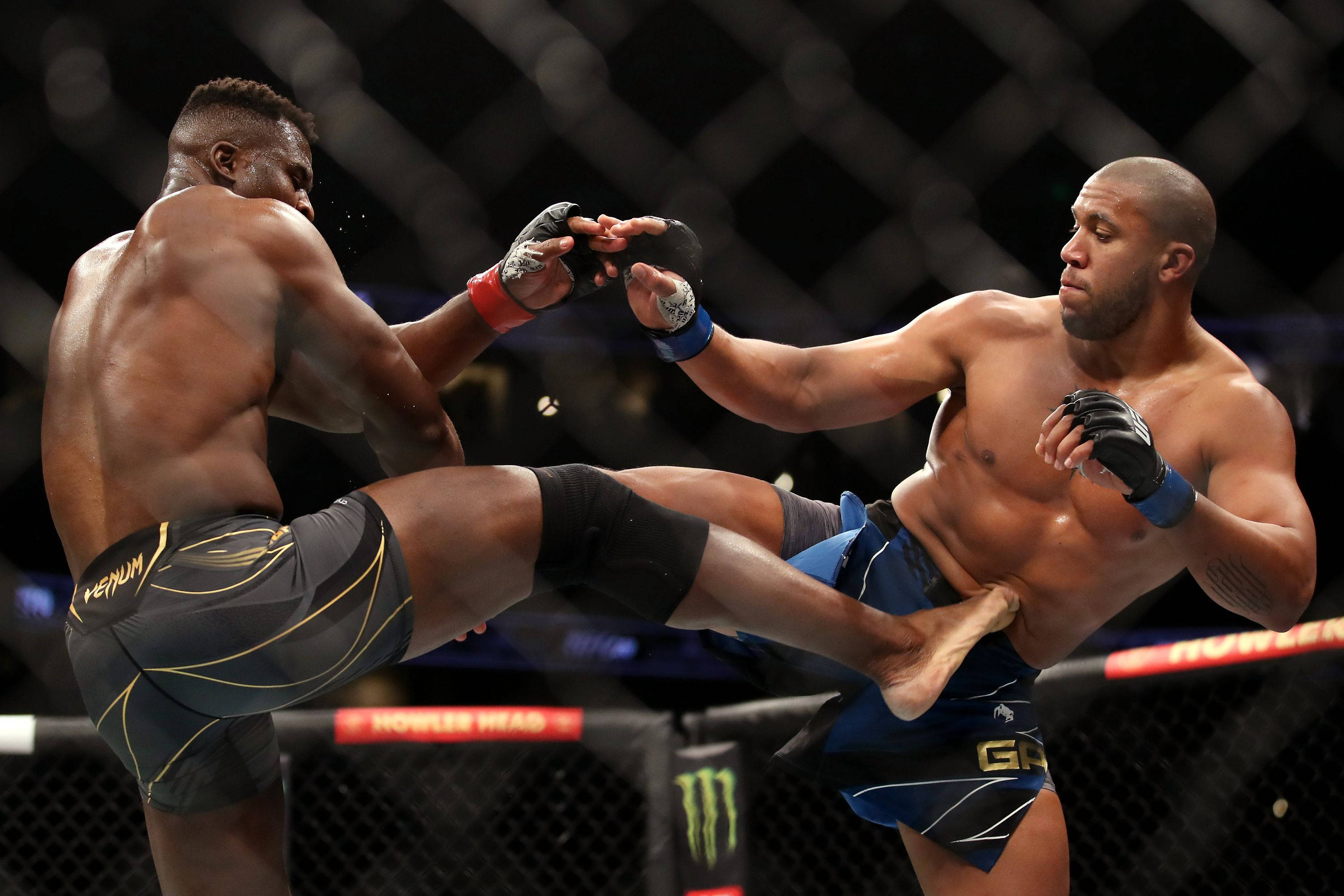 Ciryl Gane, MMA match, octagon, 2K Desktop Wallpaper