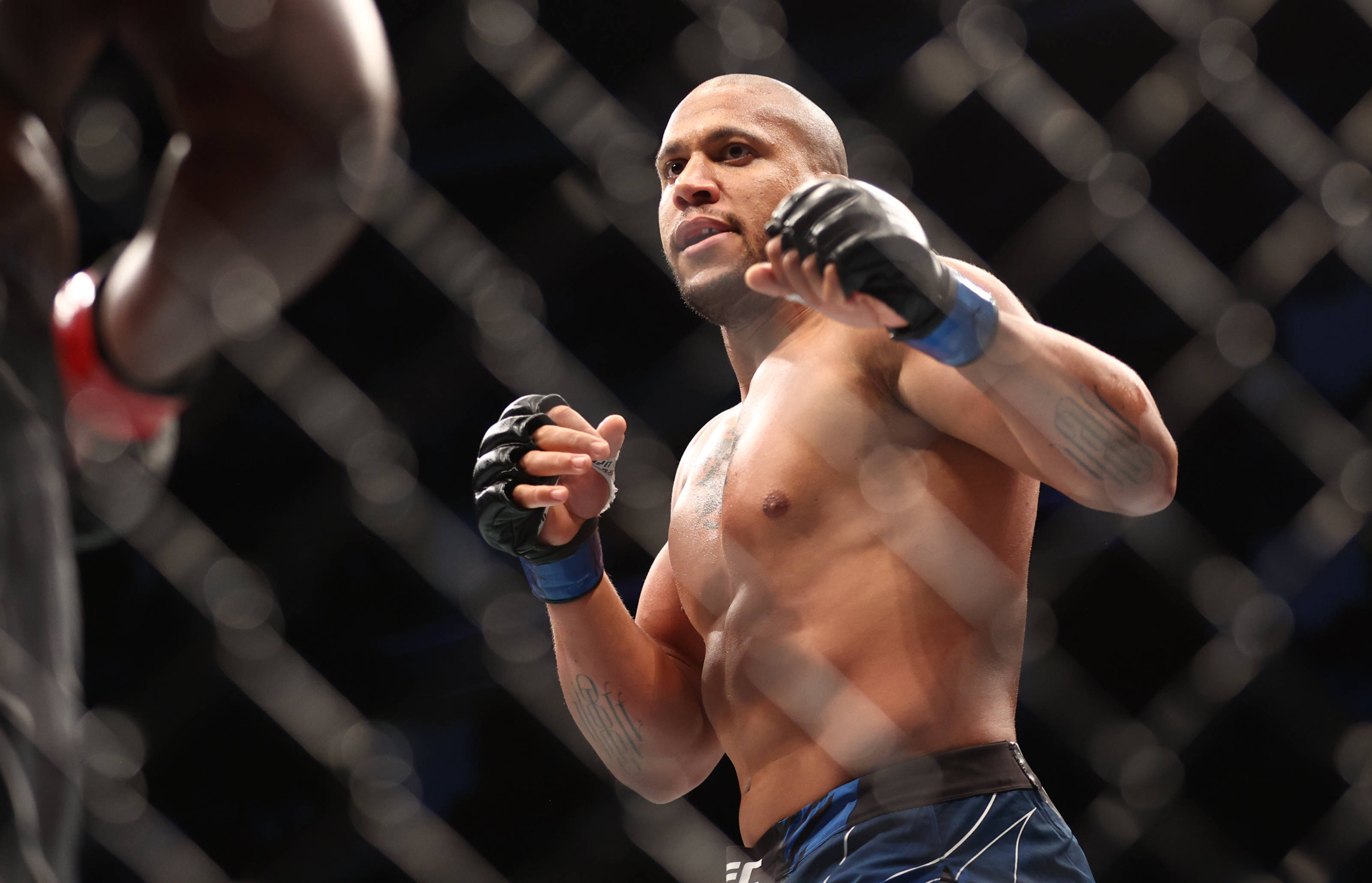 Ciryl Gane, octagon, blue shorts, 2K Desktop Wallpaper