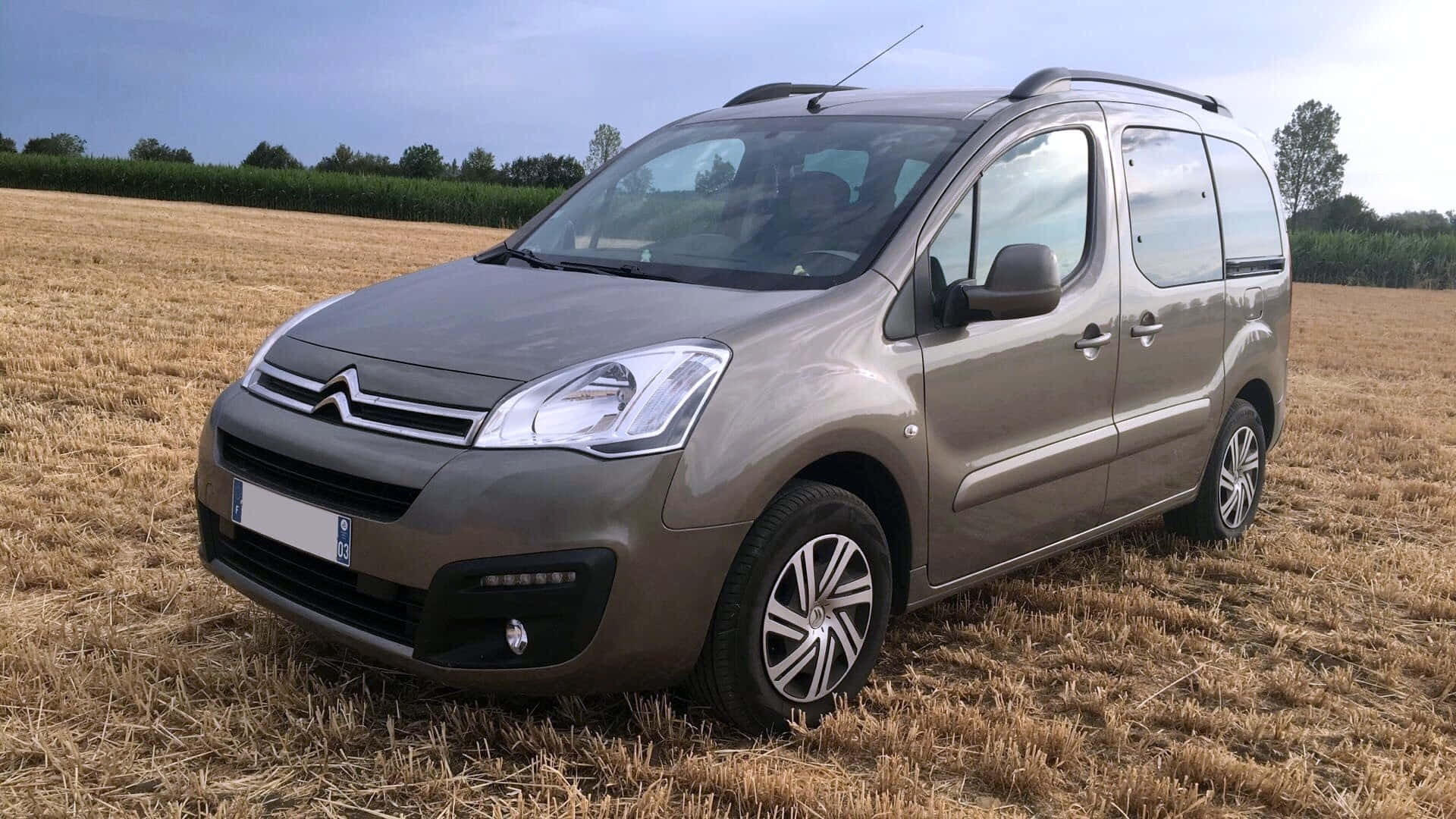 Citroen Berlingo, beige, harvested wheat field, Full HD Desktop Wallpaper