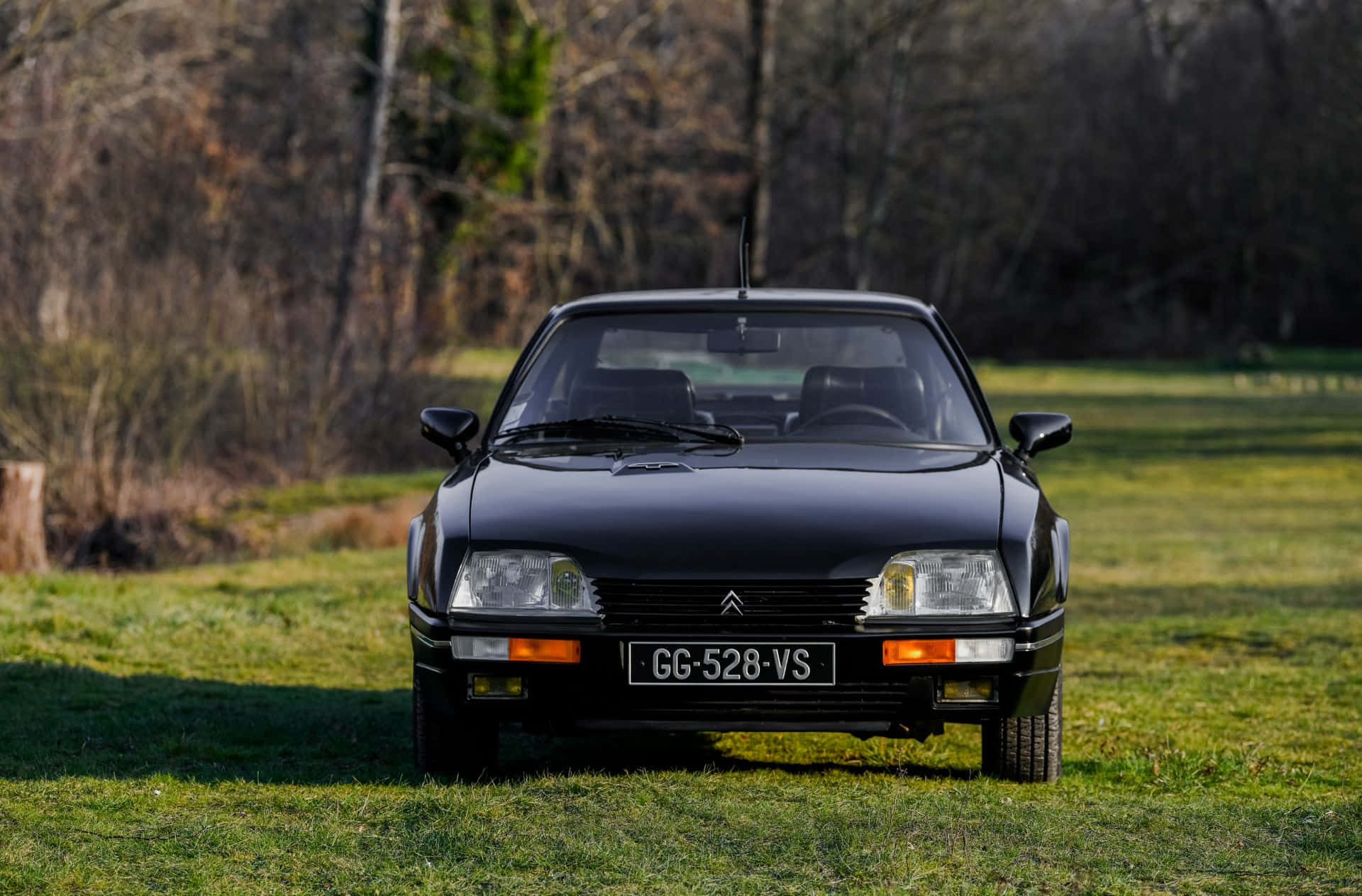 Citroen CX, sleek black, sunlit grassy field, Full HD Desktop Wallpaper
