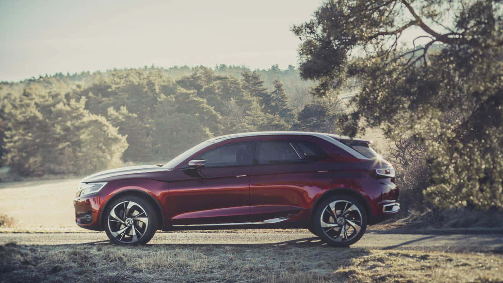 Citroen DS Wild Rubis, sleek red SUV, dirt road, HD Desktop Wallpaper
