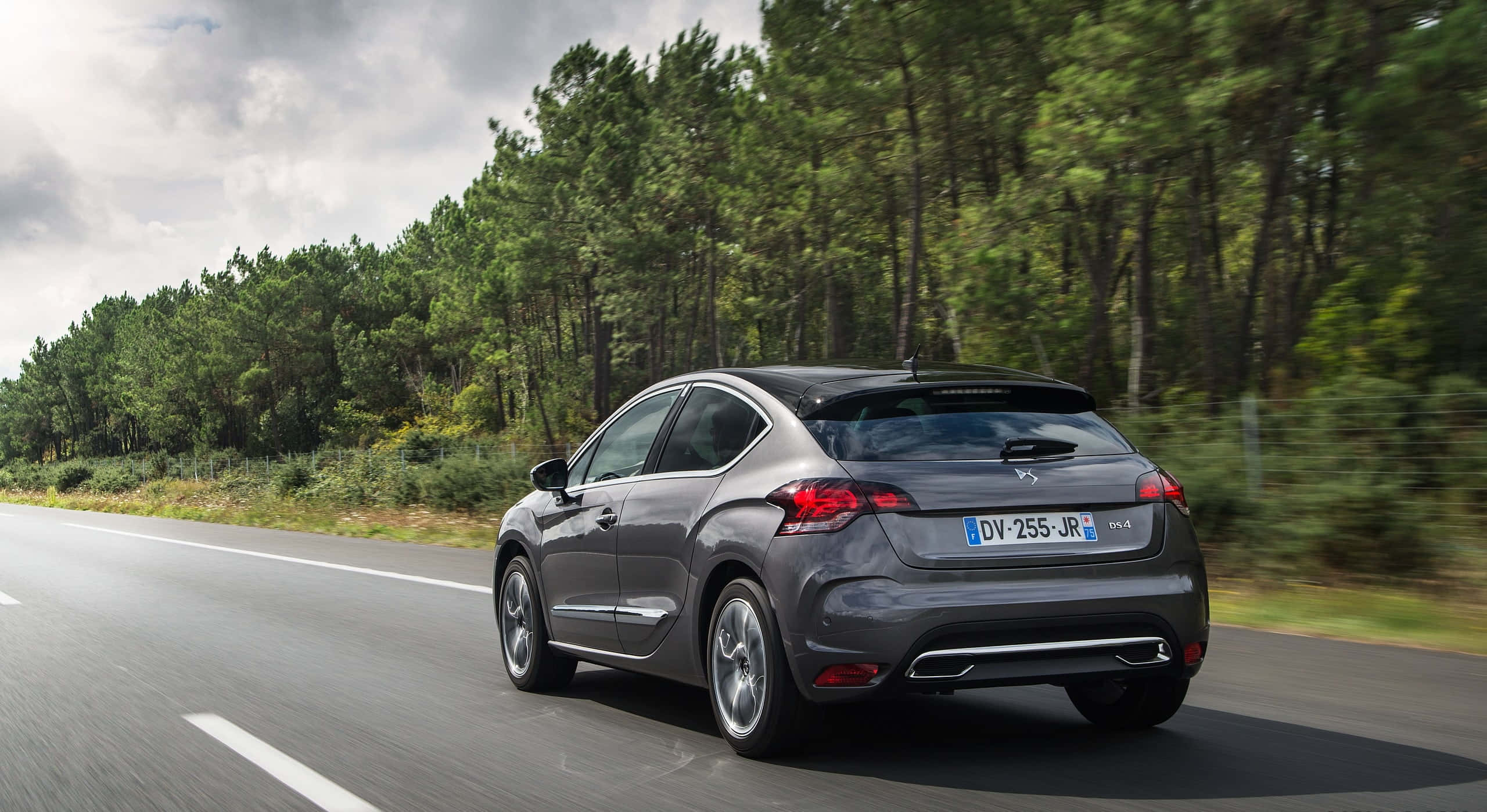 Citroen DS4, sleek gray coupe, tree-lined road, 2K Desktop Wallpaper
