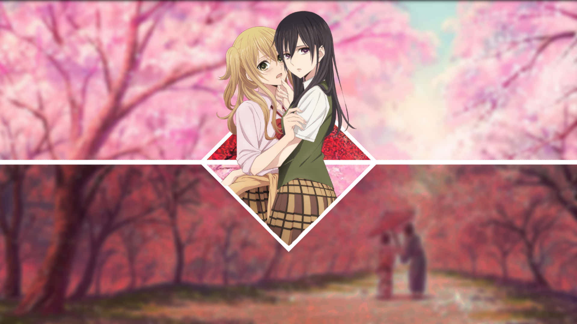Cherry Blossoms, Citrus Anime, anime girls, Full HD Desktop Wallpaper