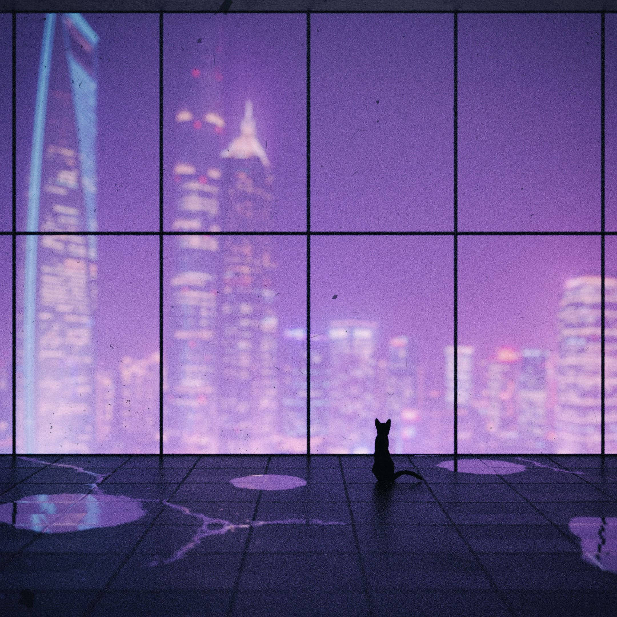 cat silhouette, wet tiled floor, grid window, Full HD Desktop Wallpaper
