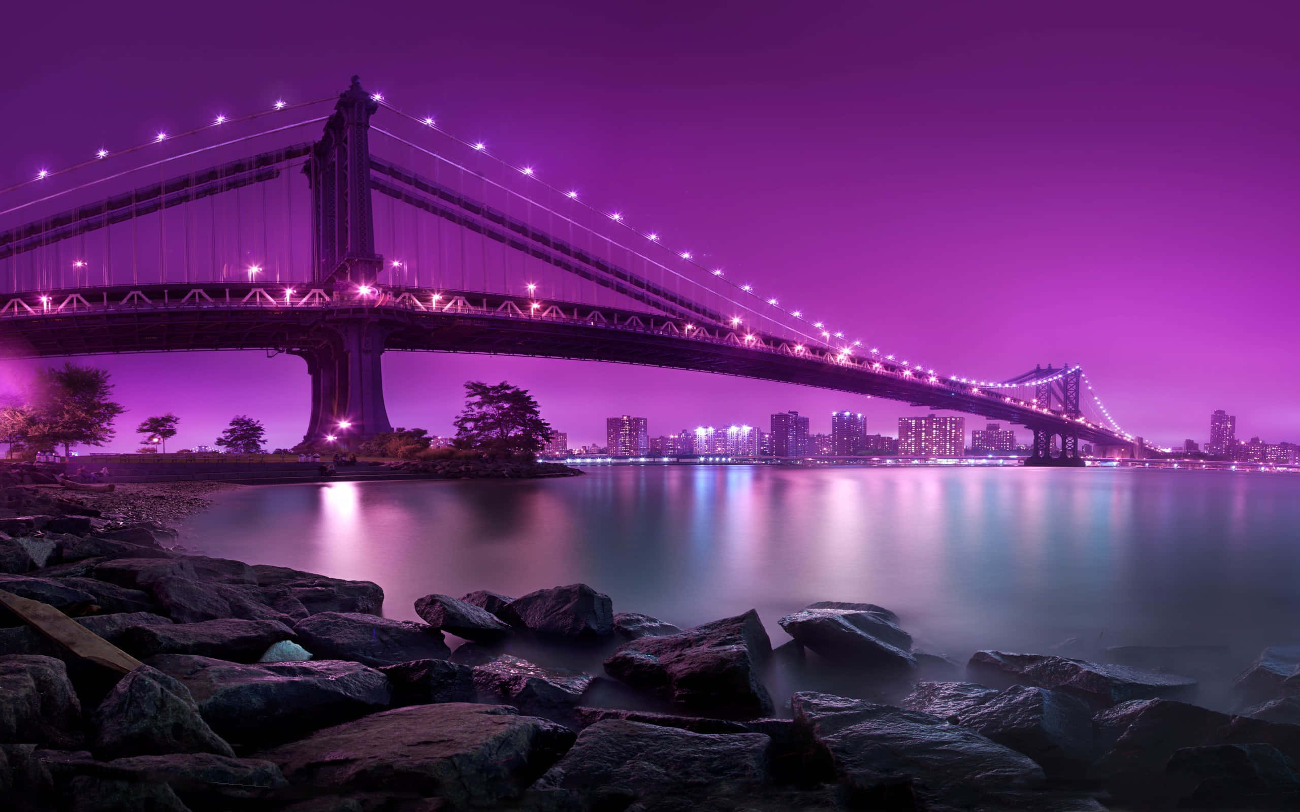 City Desktop, purple lights, suspension bridge, 2K Desktop Wallpaper