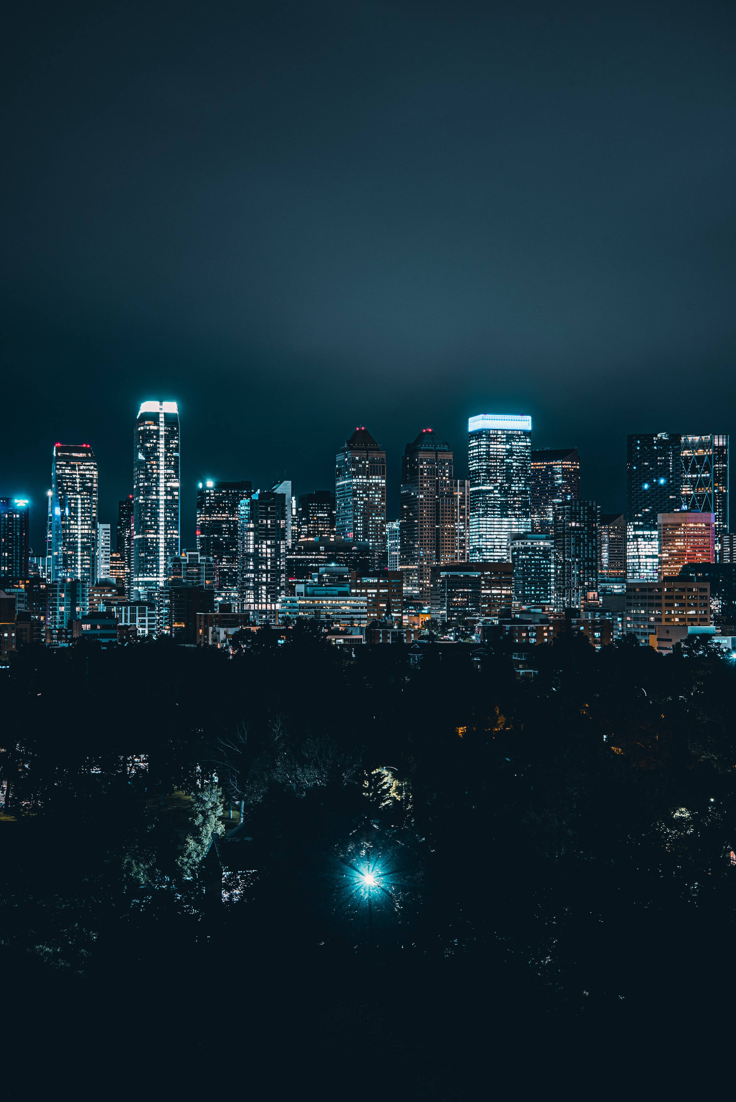 City Night, forest, skyscrapers, 2K Phone Wallpaper
