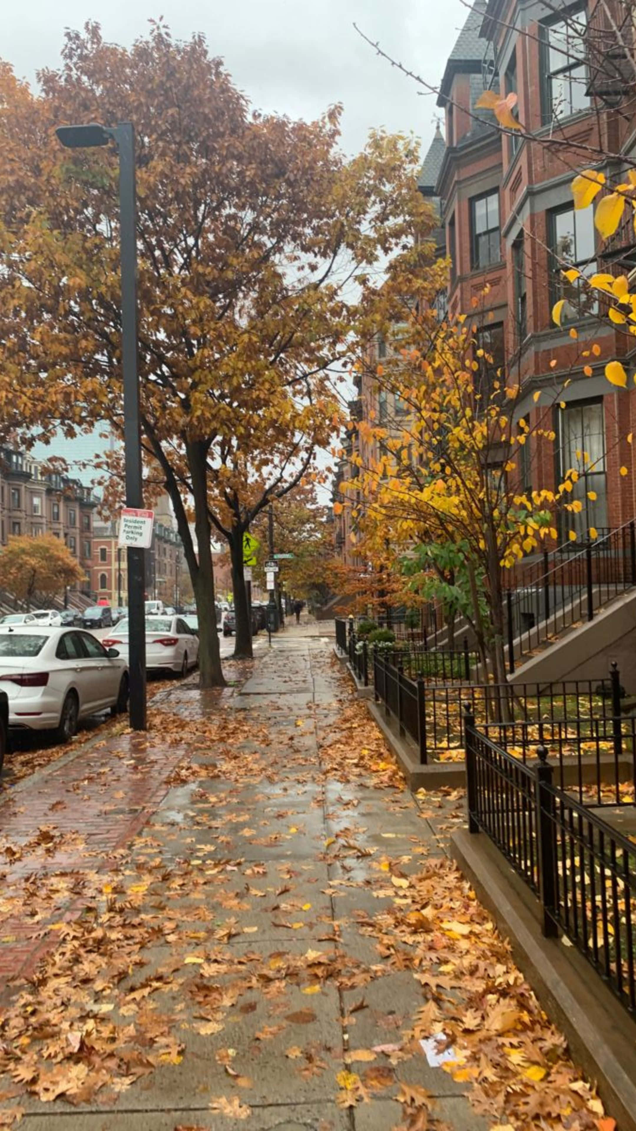 grunge fall aesthetic, urban street, wet autumn sidewalk, 4K Phone Wallpaper