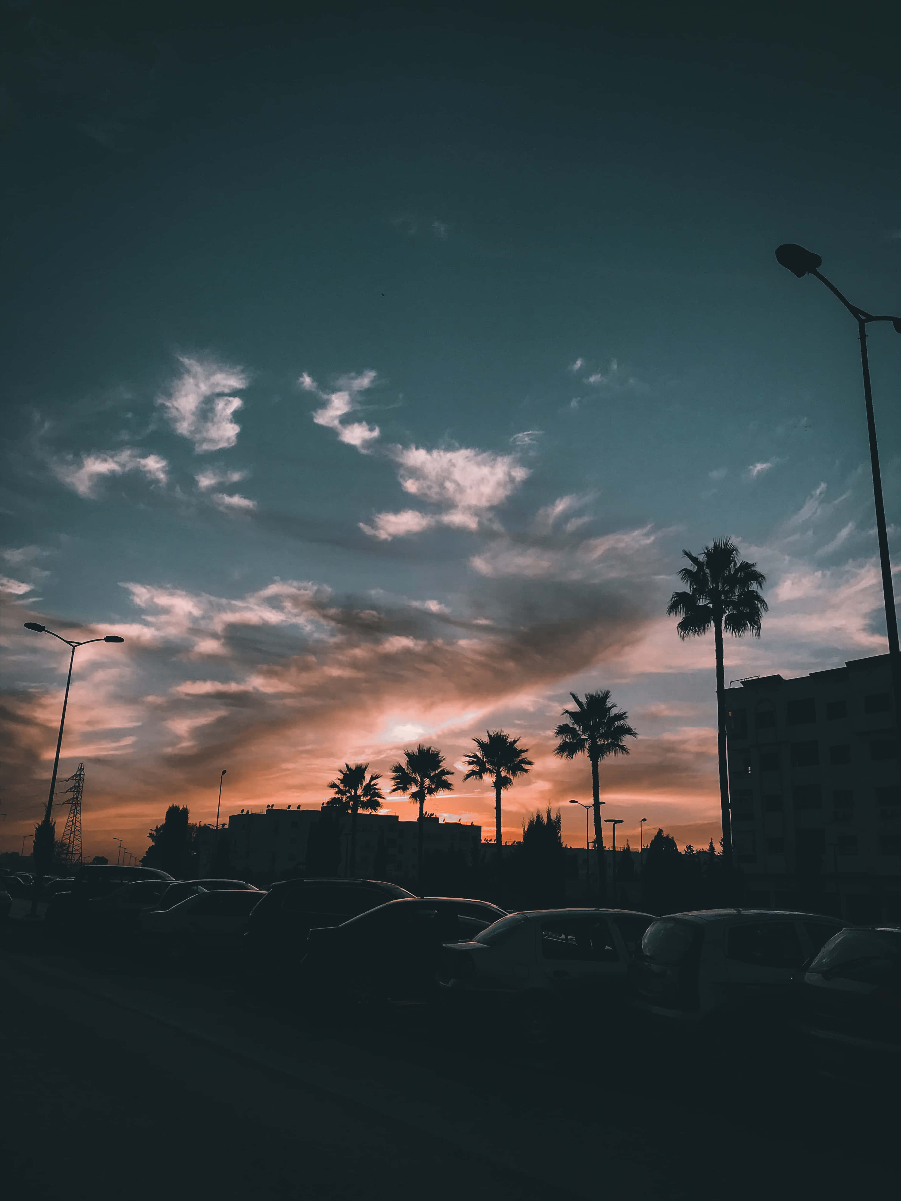 City Sunset iPhone, palm trees, vibrant sunset sky, 4K Phone Wallpaper