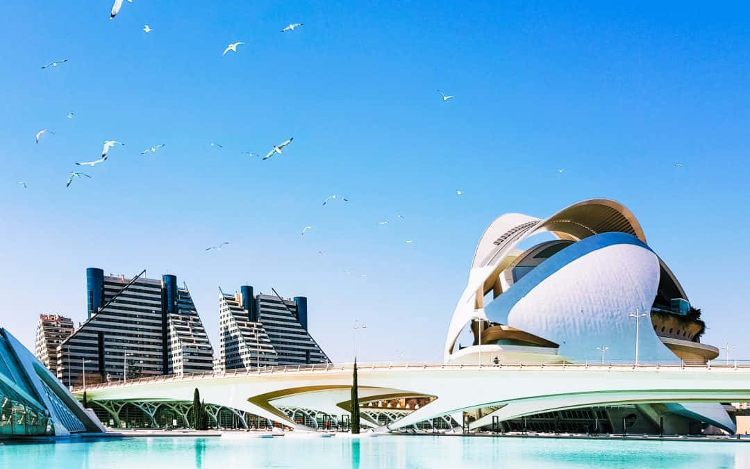 Ciudad De Las Artes Y Las Ciencias, white futuristic buildings, curved architecture, SD Desktop Wallpaper