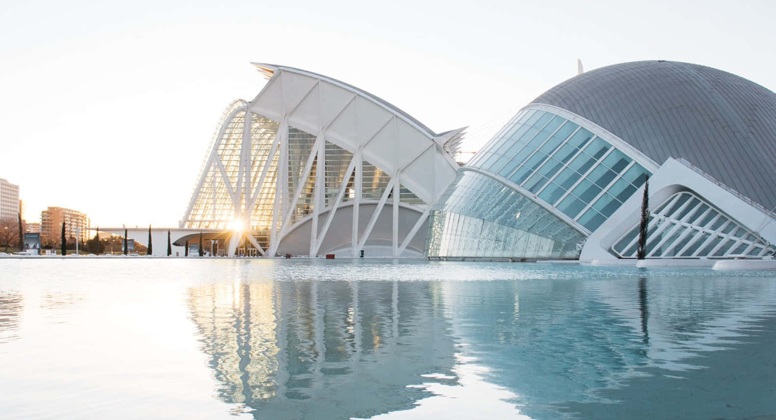 Ciudad De Las Artes Y Las Ciencias, futuristic architecture, night, HD Desktop Wallpaper