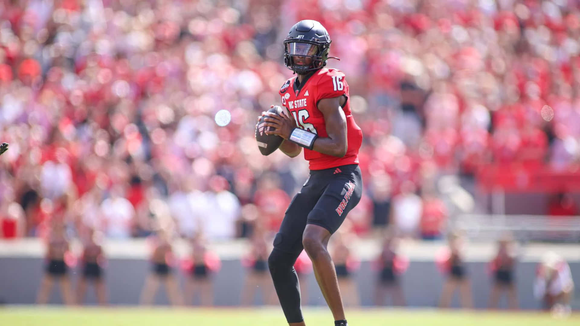 Cj Bailey, NC State football player, red jersey number 16, Full HD Desktop Wallpaper