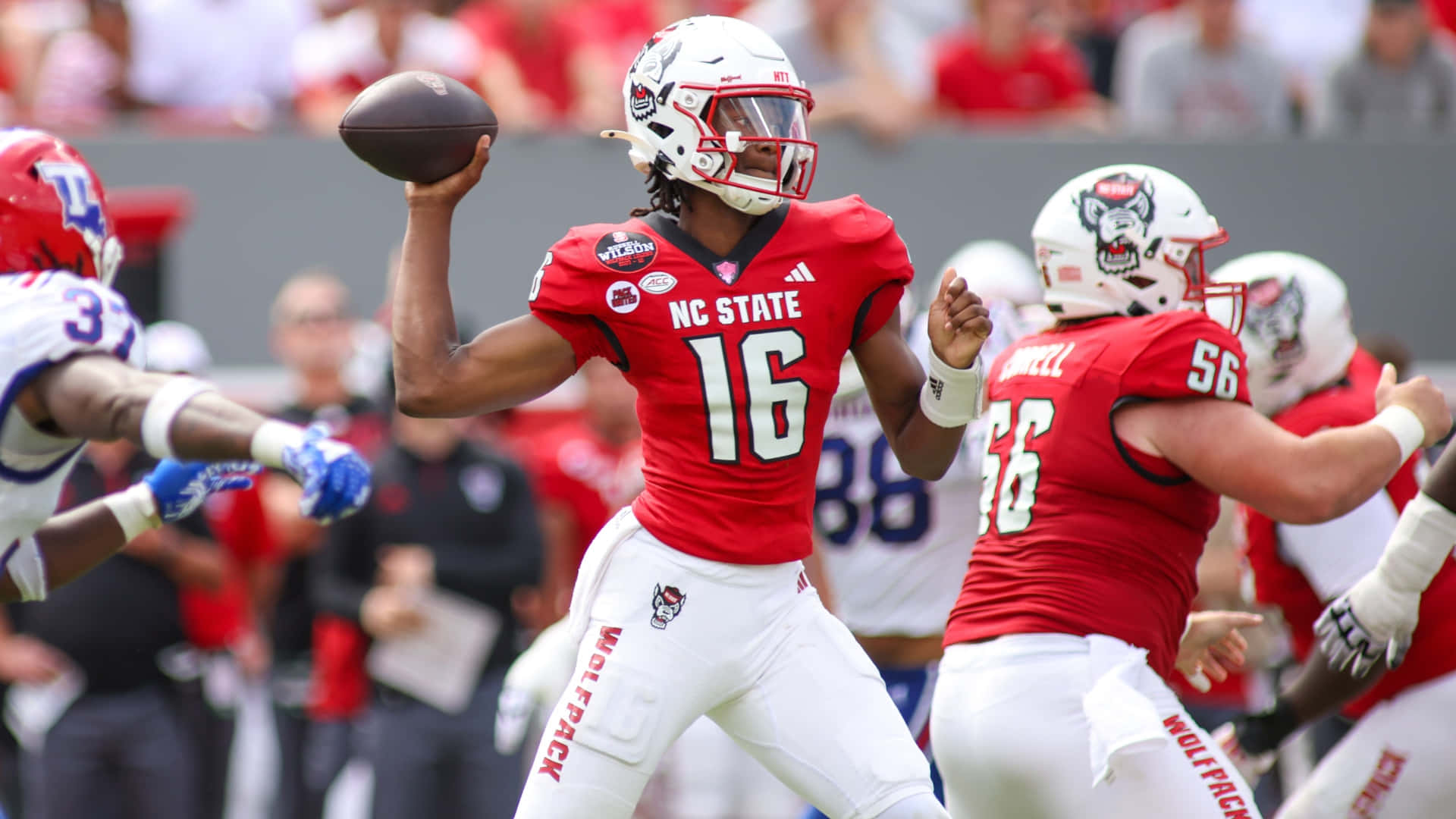 Cj Bailey, NC State quarterback, number 16, Full HD Desktop Wallpaper