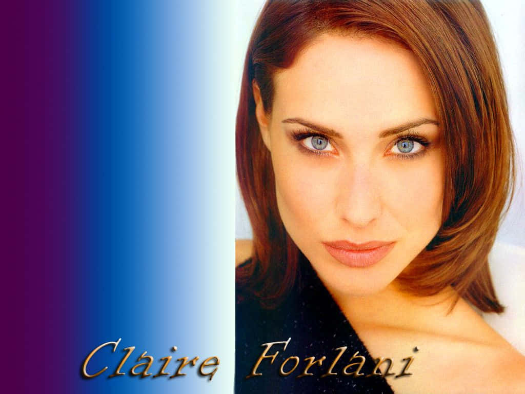 Claire Forlani, blue eyes, brown hair, SD Desktop Wallpaper