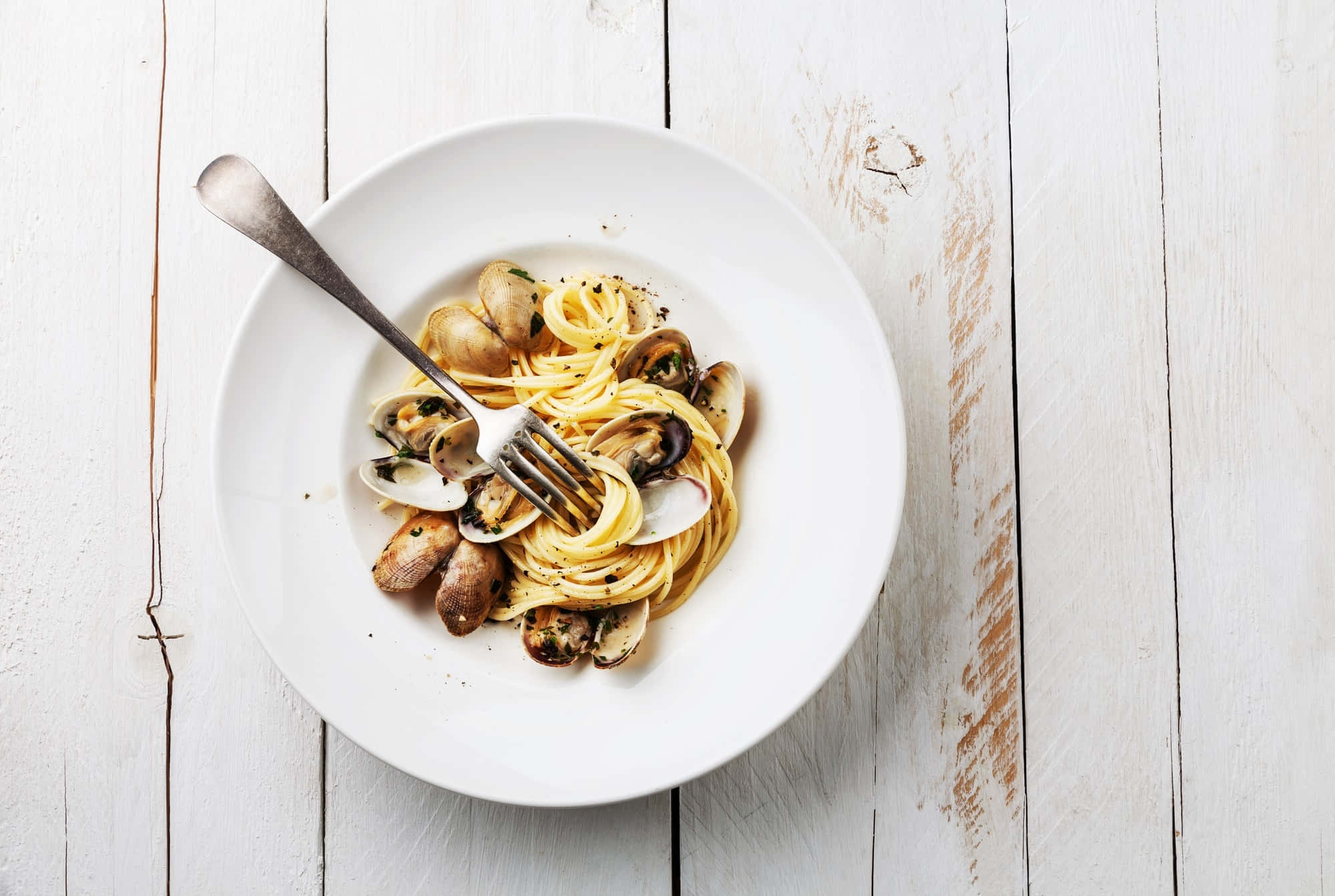spaghetti alla vongole, white bowl, clams, Full HD Desktop Wallpaper