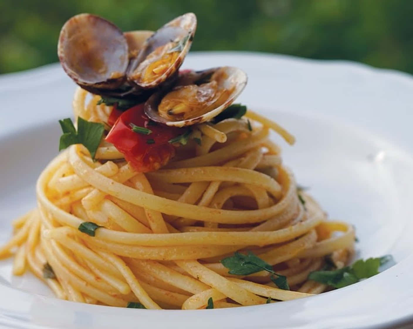 spaghetti alla vongole, clams, tomato, HD Desktop Wallpaper