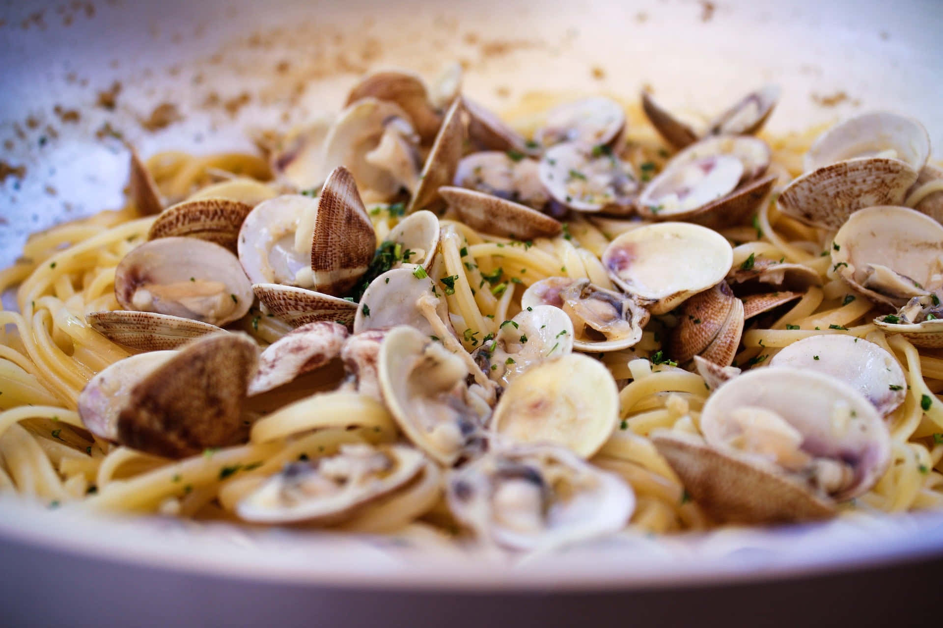 spaghetti alla vongole, clams, fresh parsley, Full HD Desktop Wallpaper