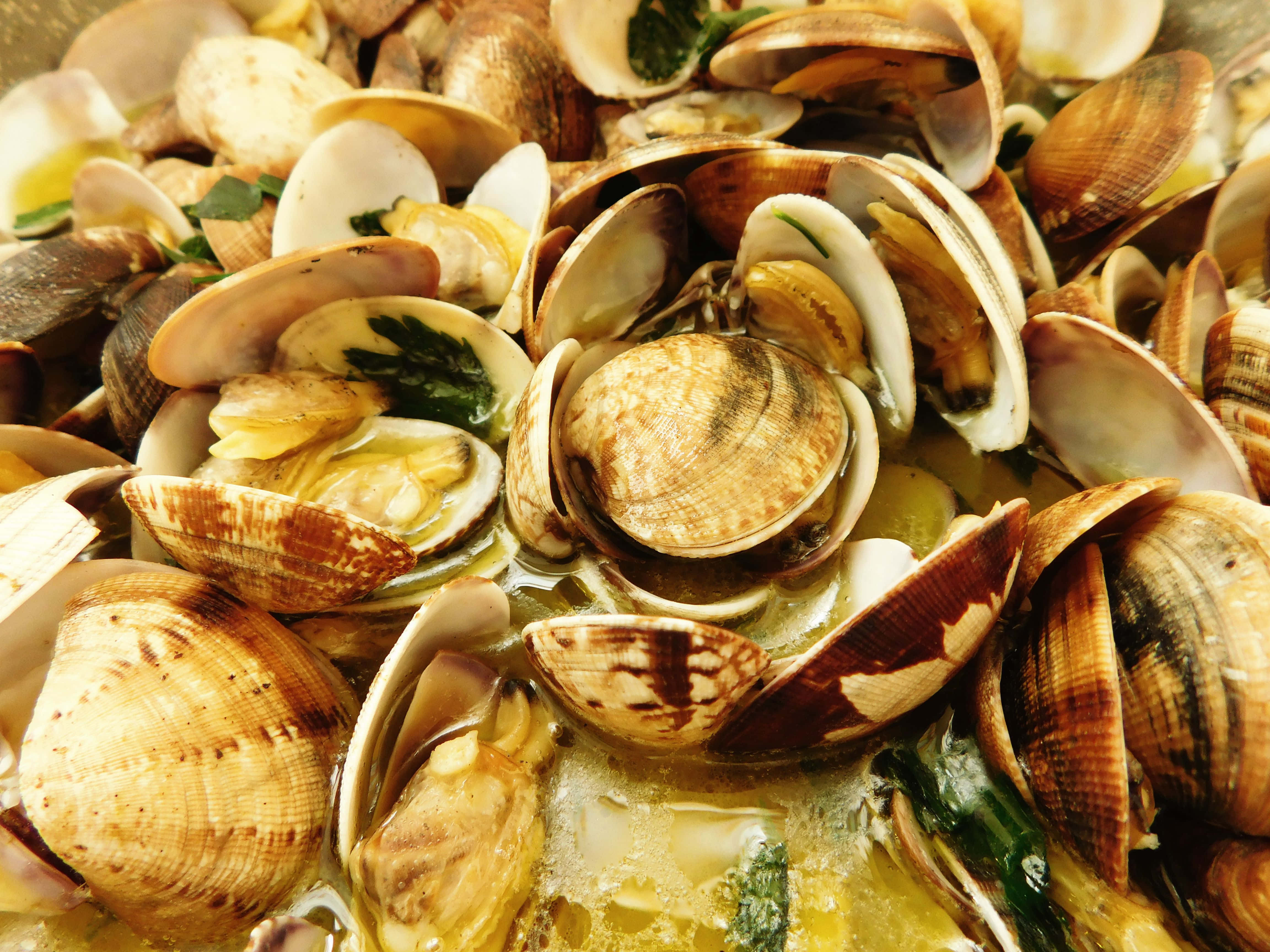 clam, golden broth, fresh green herbs, 4K Desktop Wallpaper