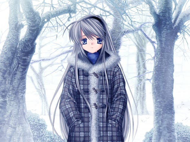 Clannad anime, silver hair, blue eyes, SD Desktop Wallpaper