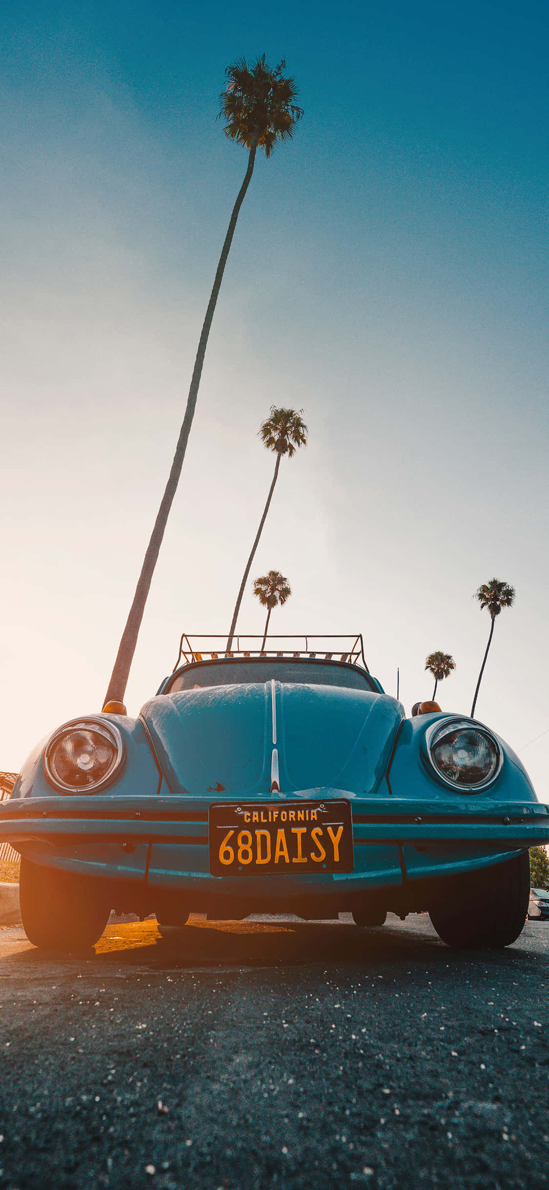vintage blue Volkswagen Beetle, California license plate, tall palm trees, Full HD Phone Wallpaper