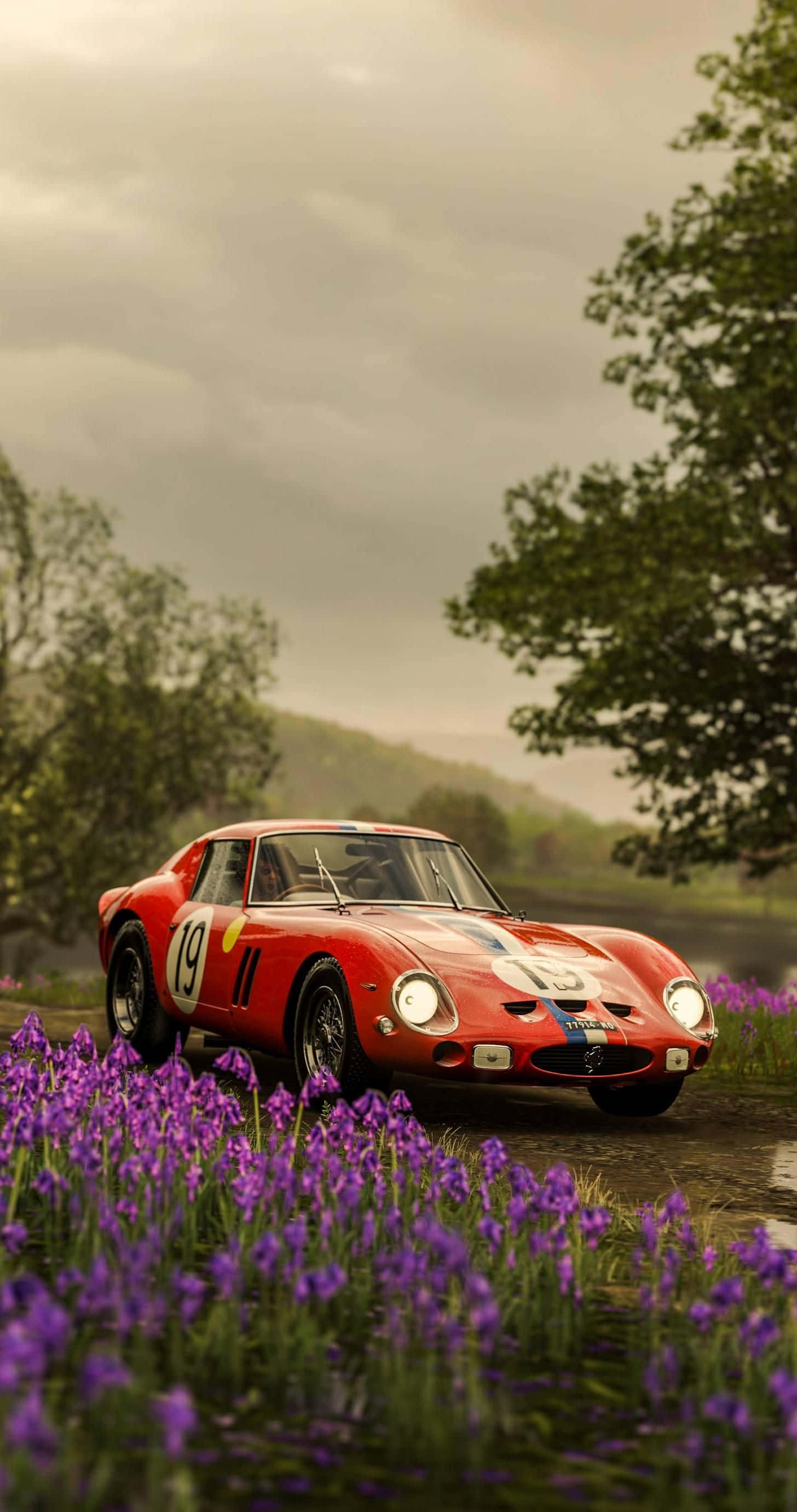 Classic Ferrari, red race car, number 19, 2K Phone Wallpaper