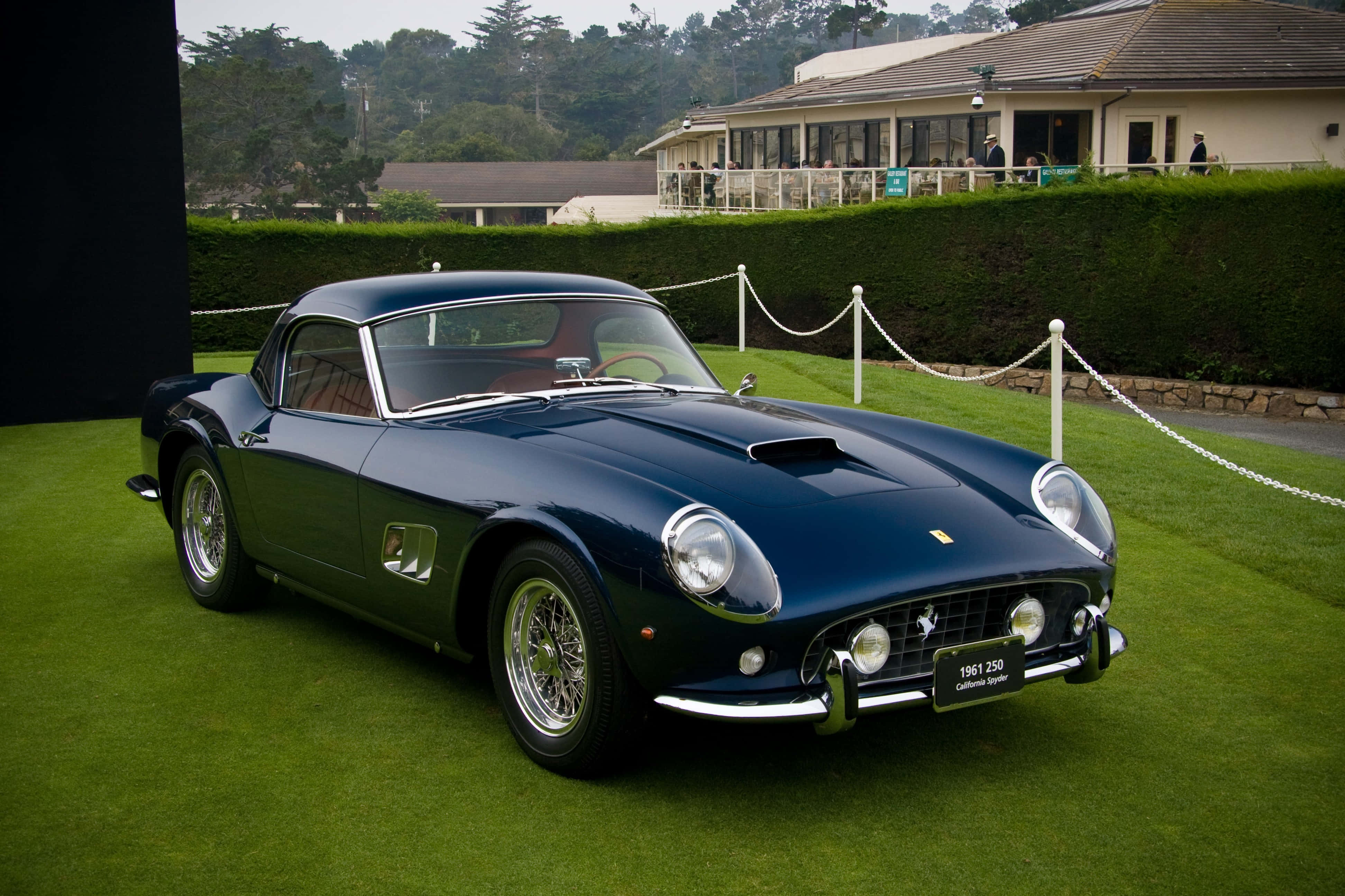 1961 Ferrari 250, dark blue, vibrant green grass, 4K Desktop Wallpaper