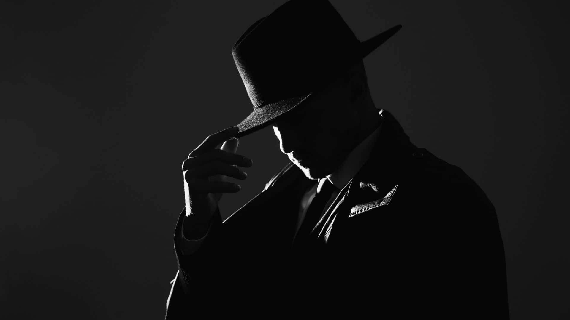 fedora, trench coat, dramatic backlighting, Full HD Desktop Wallpaper