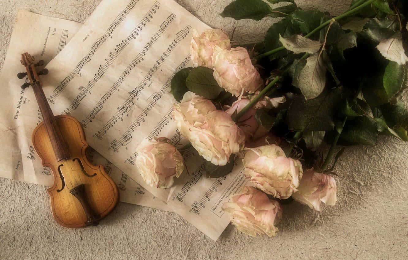 vintage violin, wilted pink roses, aged sheet music, HD Desktop Wallpaper