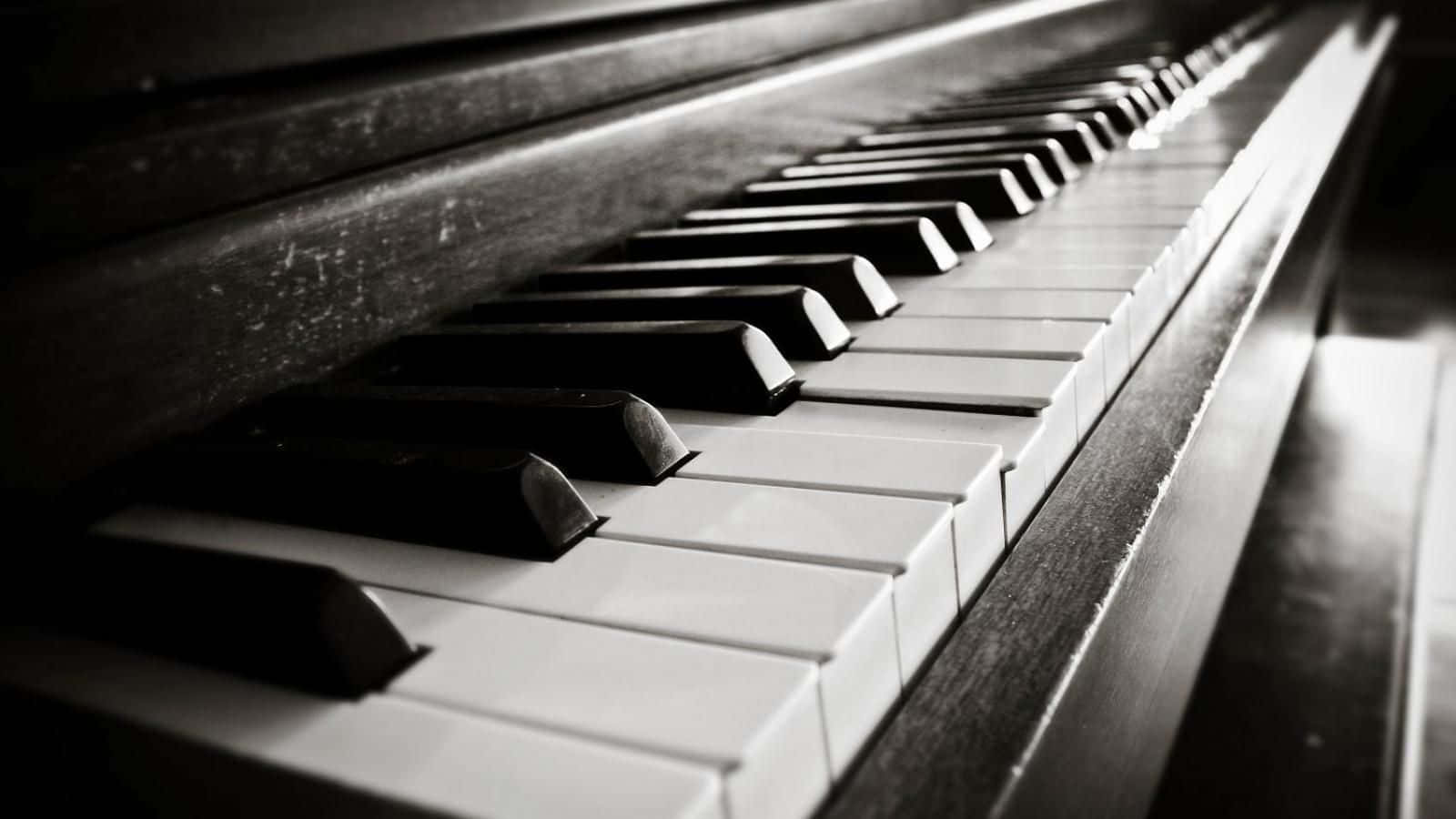 piano keys, black and white shot, shallow depth of field, HD Desktop Wallpaper