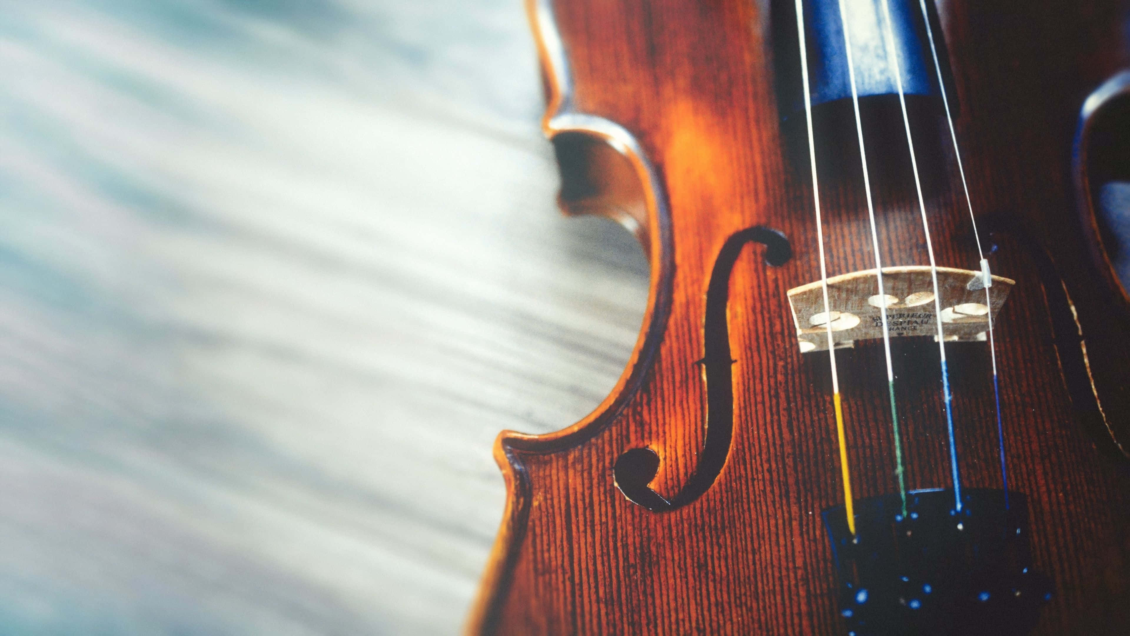 violin, f-hole, strings, 4K Desktop Wallpaper